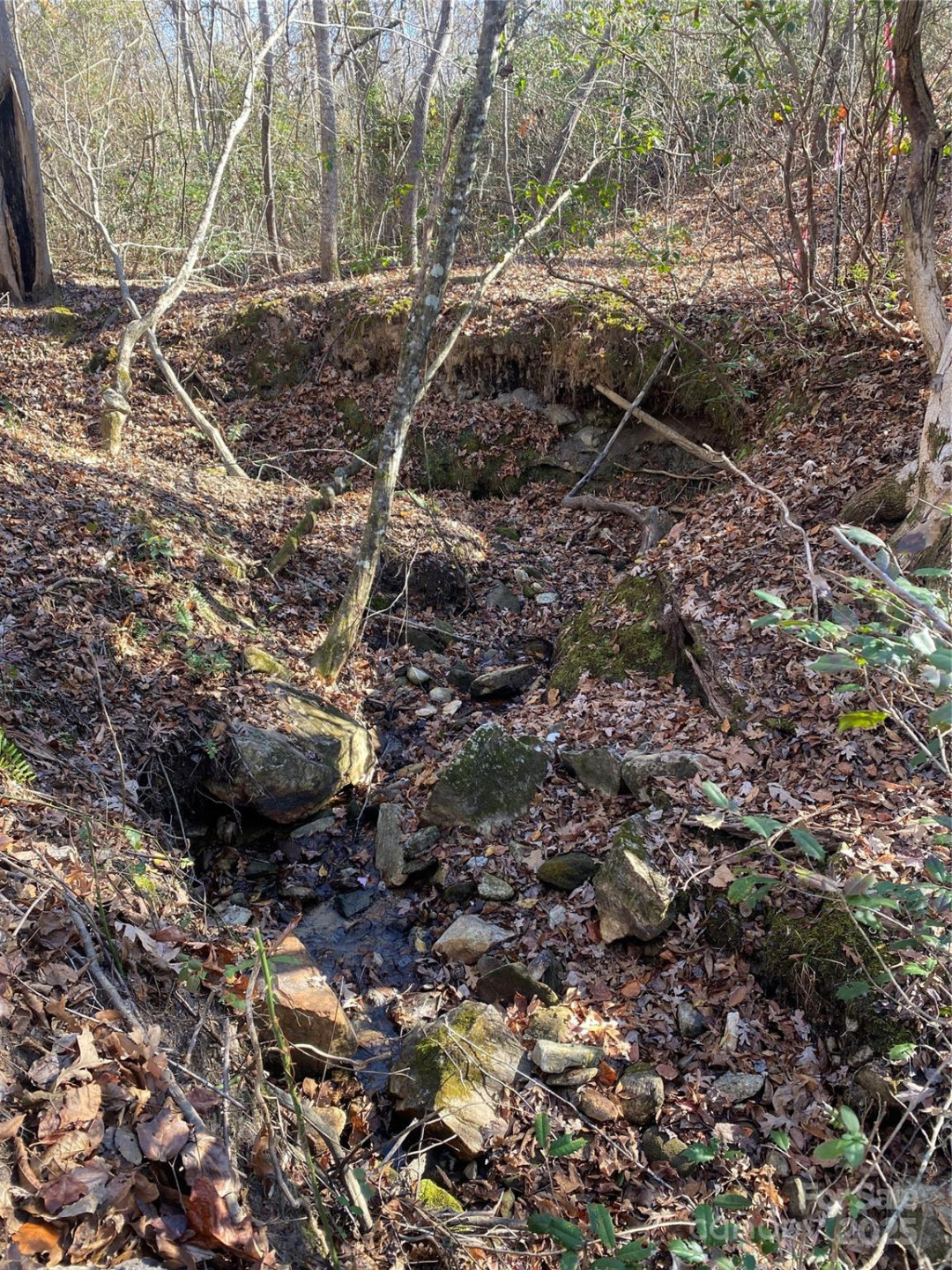 0 Kiser Road - Photo 10