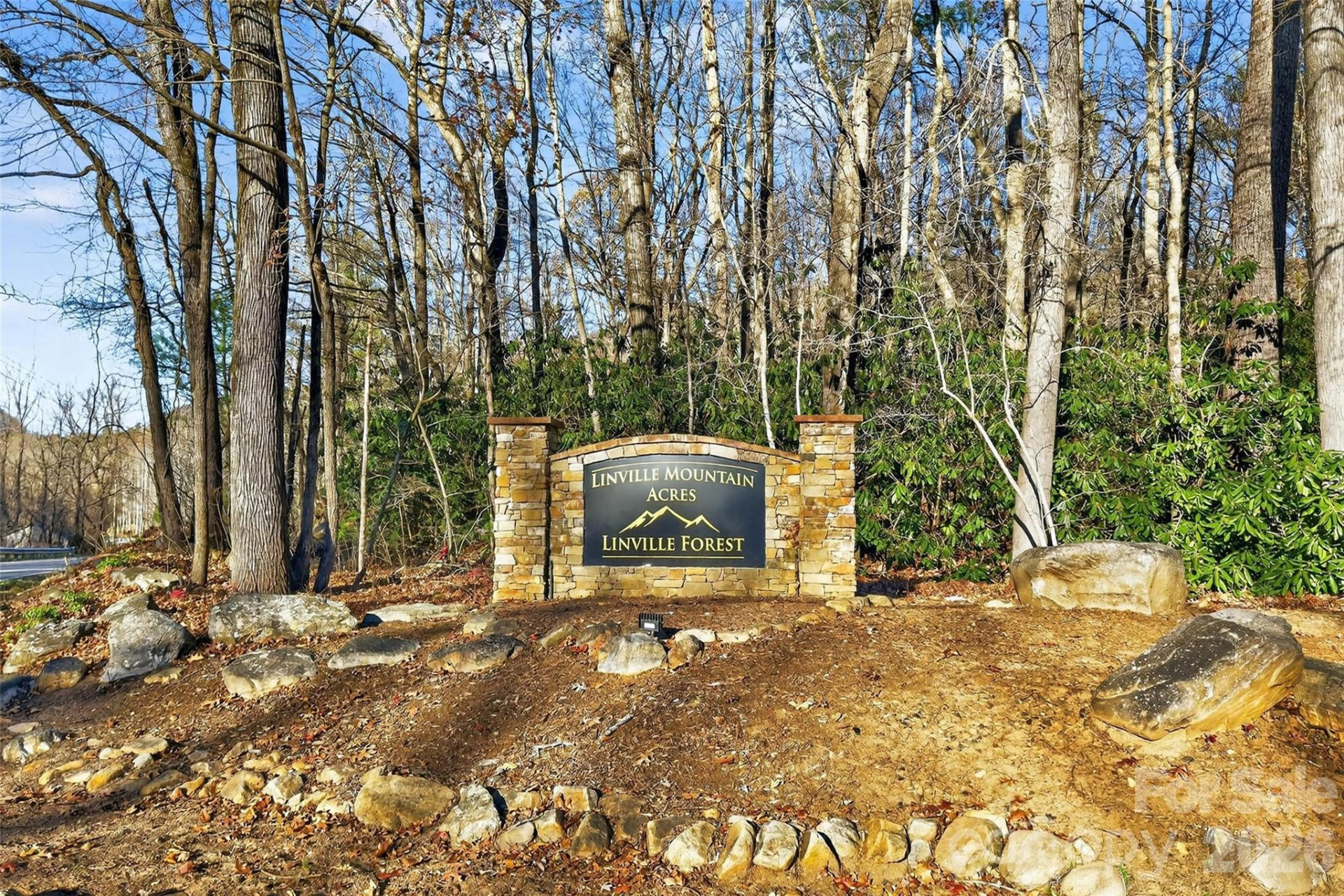 65 Deer Lane - Photo 33