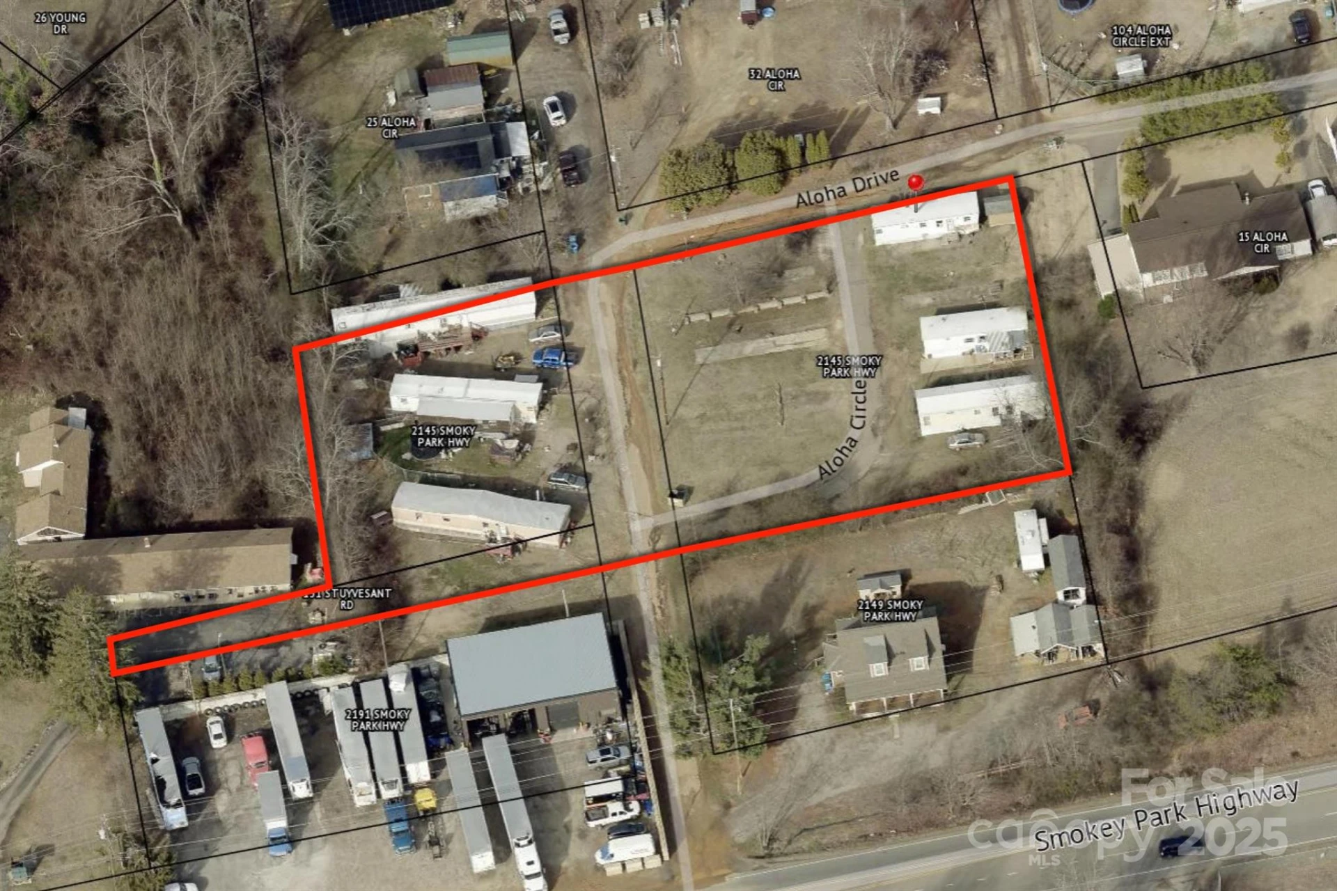 2145 Smokey Park Highway - Photo 4