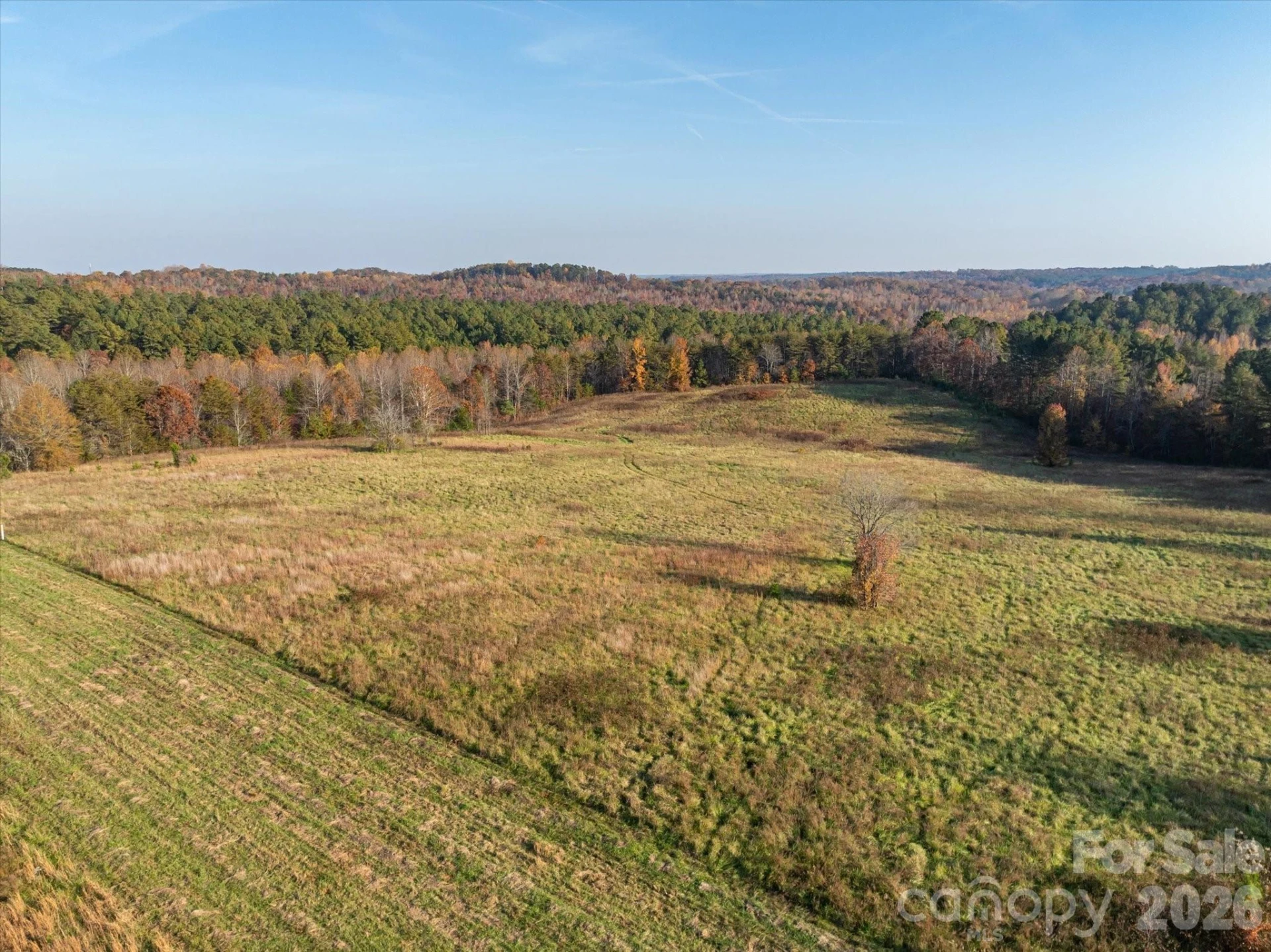 1888 Pea Ridge Road - Photo 2