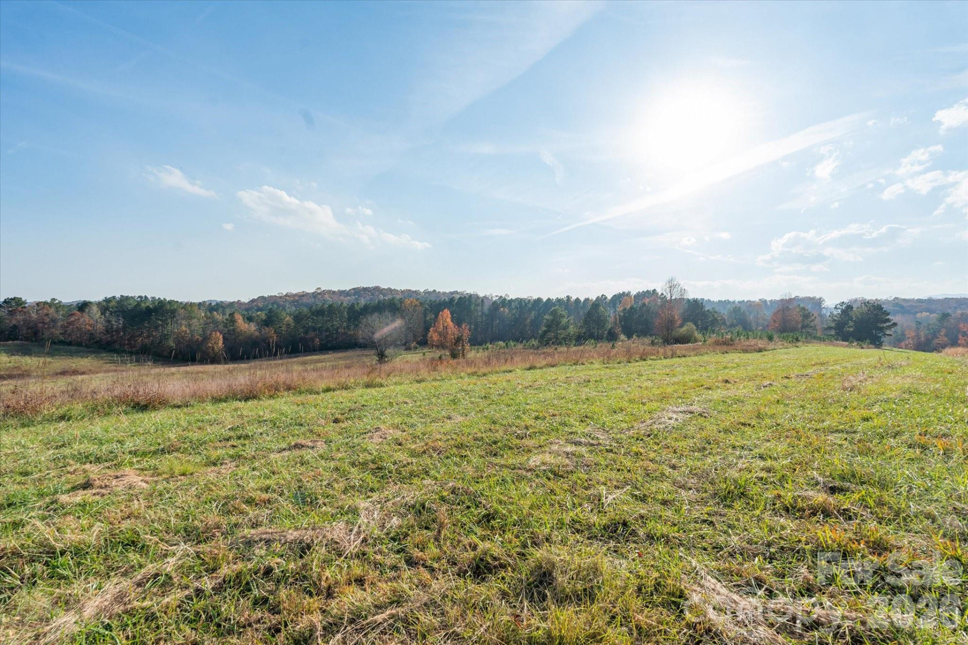 1888 Pea Ridge Road - Photo 11