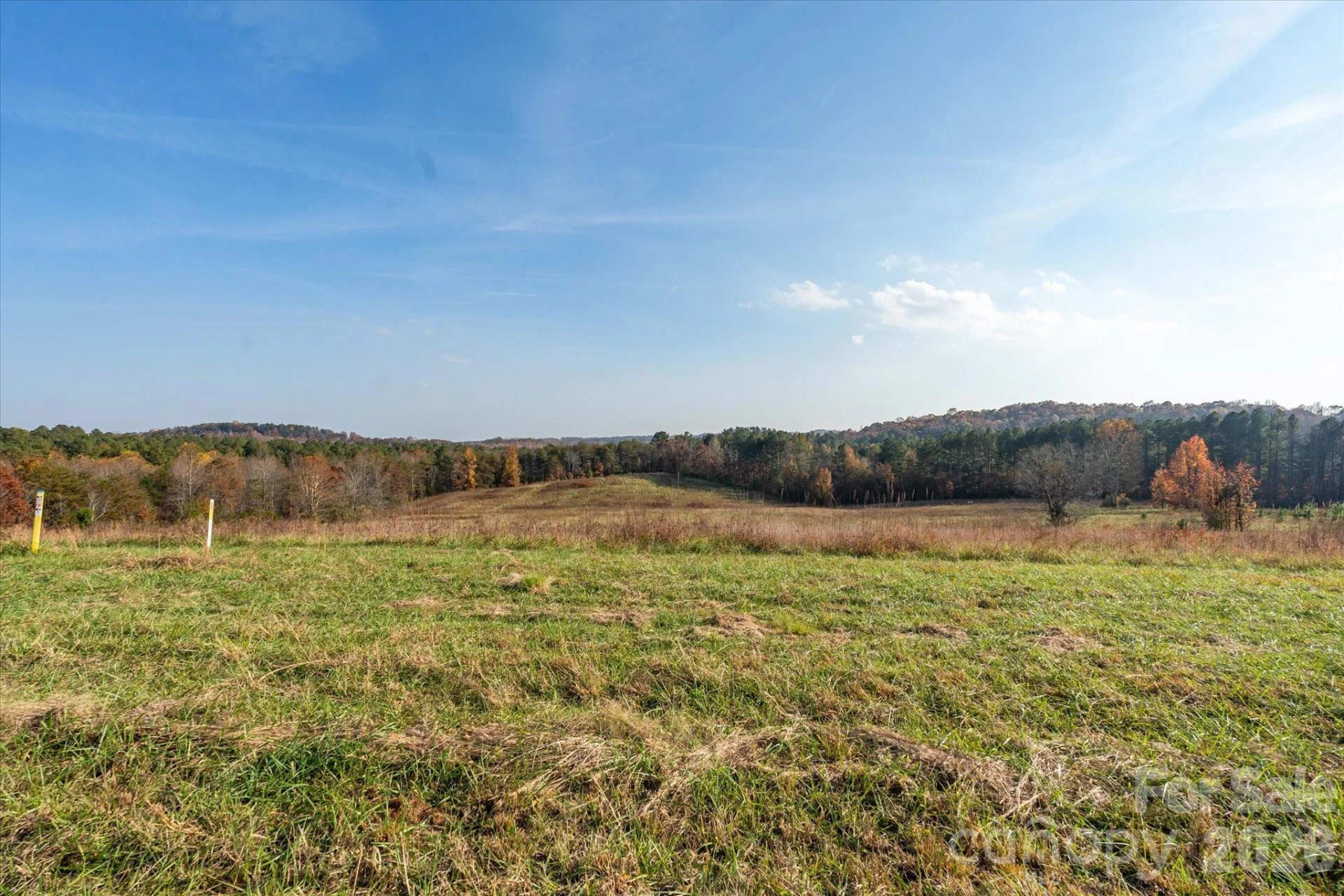 1888 Pea Ridge Road - Photo 12