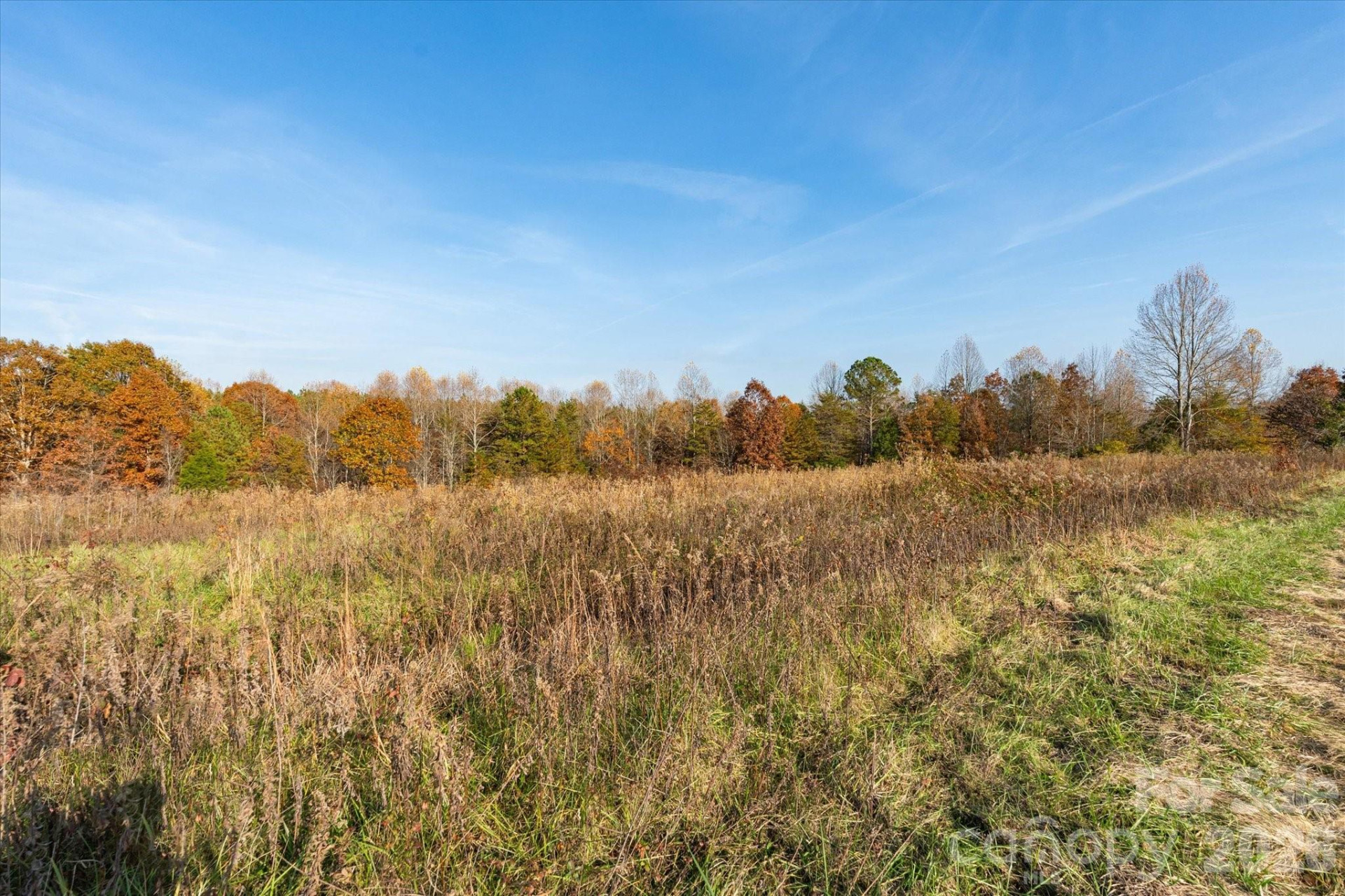 1888 Pea Ridge Road - Photo 14