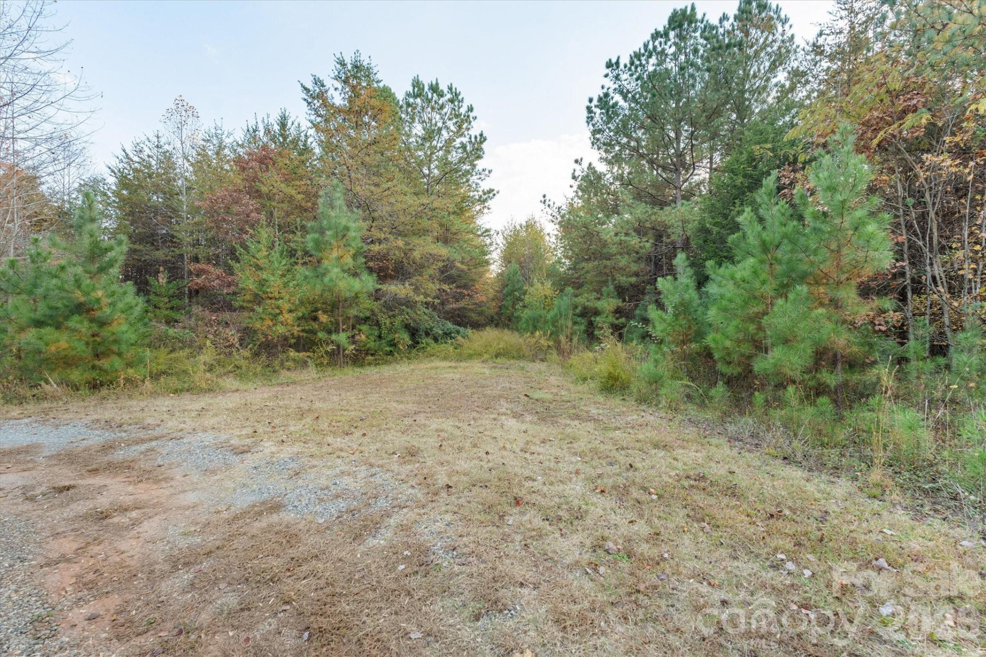 1888 Pea Ridge Road - Photo 23