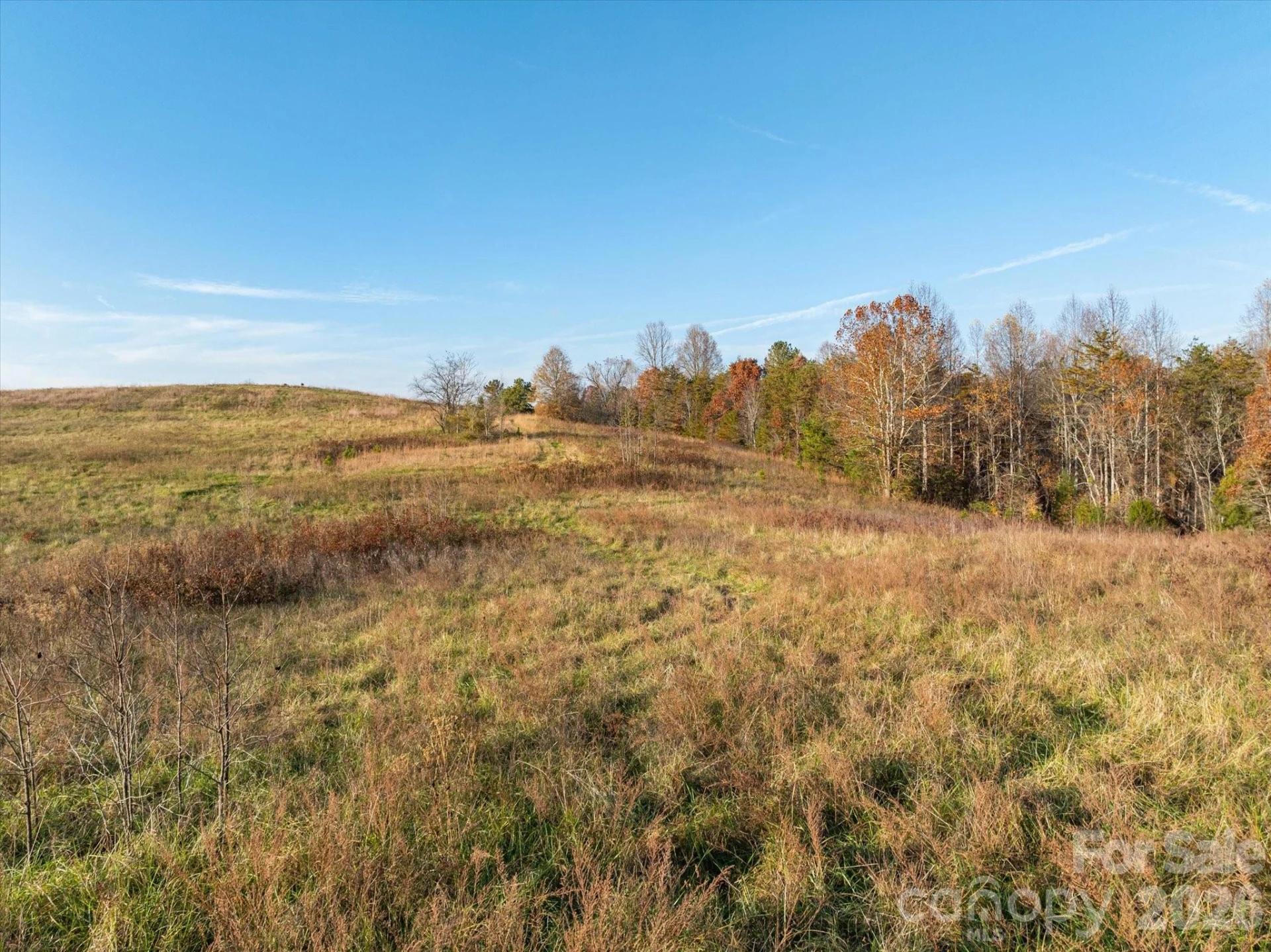 1888 Pea Ridge Road - Photo 5