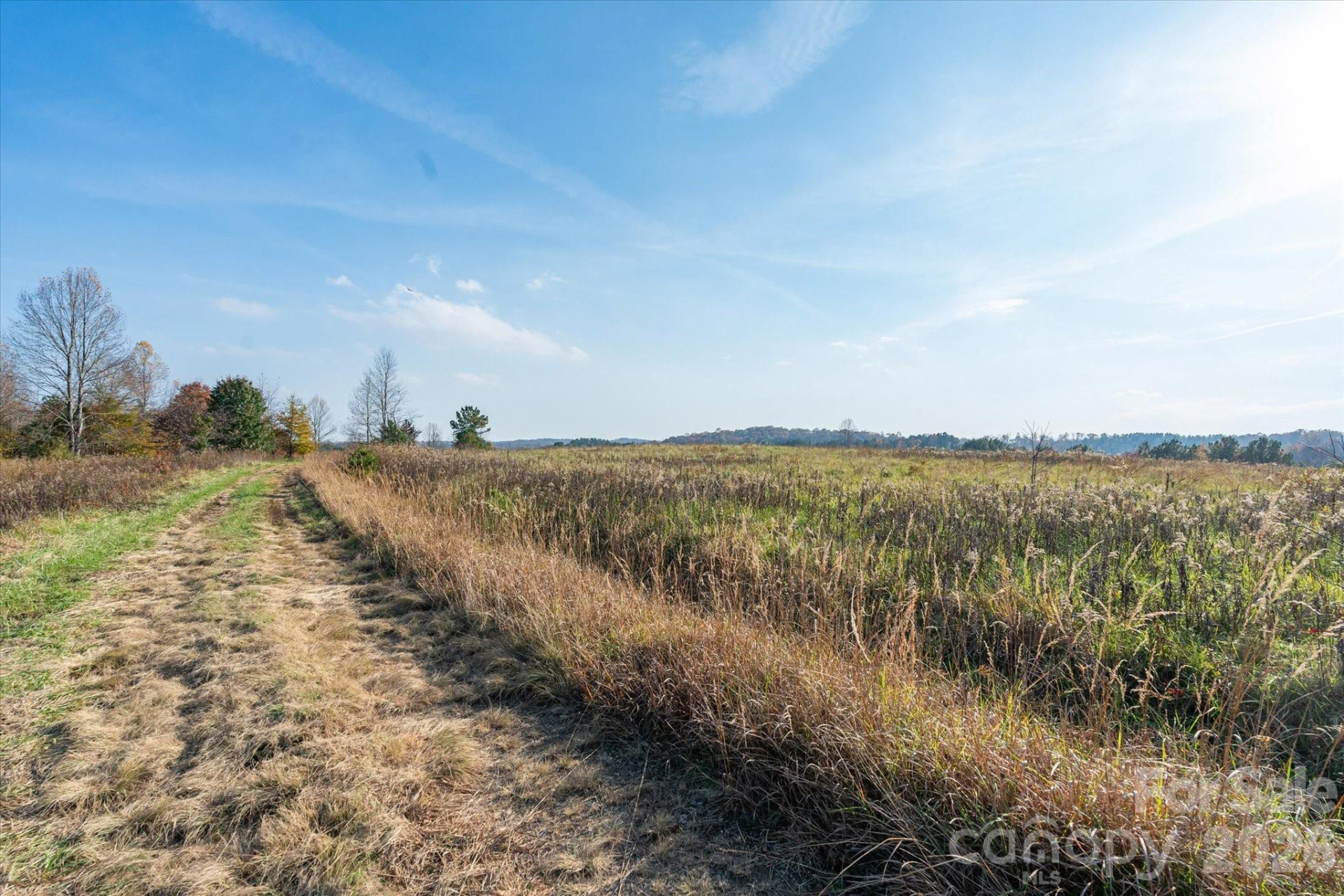 1888 Pea Ridge Road - Photo 6