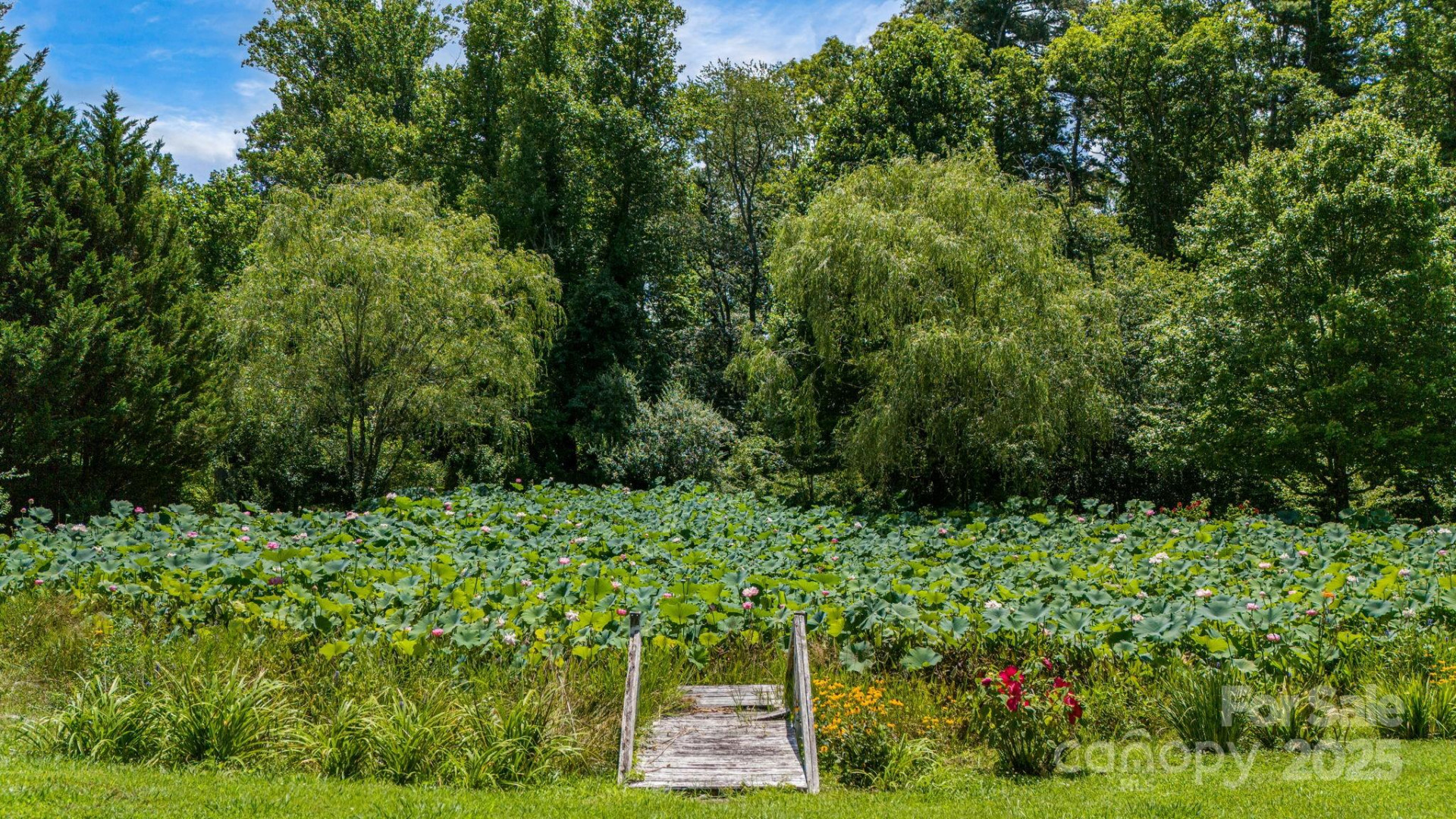 350 Old Sunset Hill Road - Photo 37