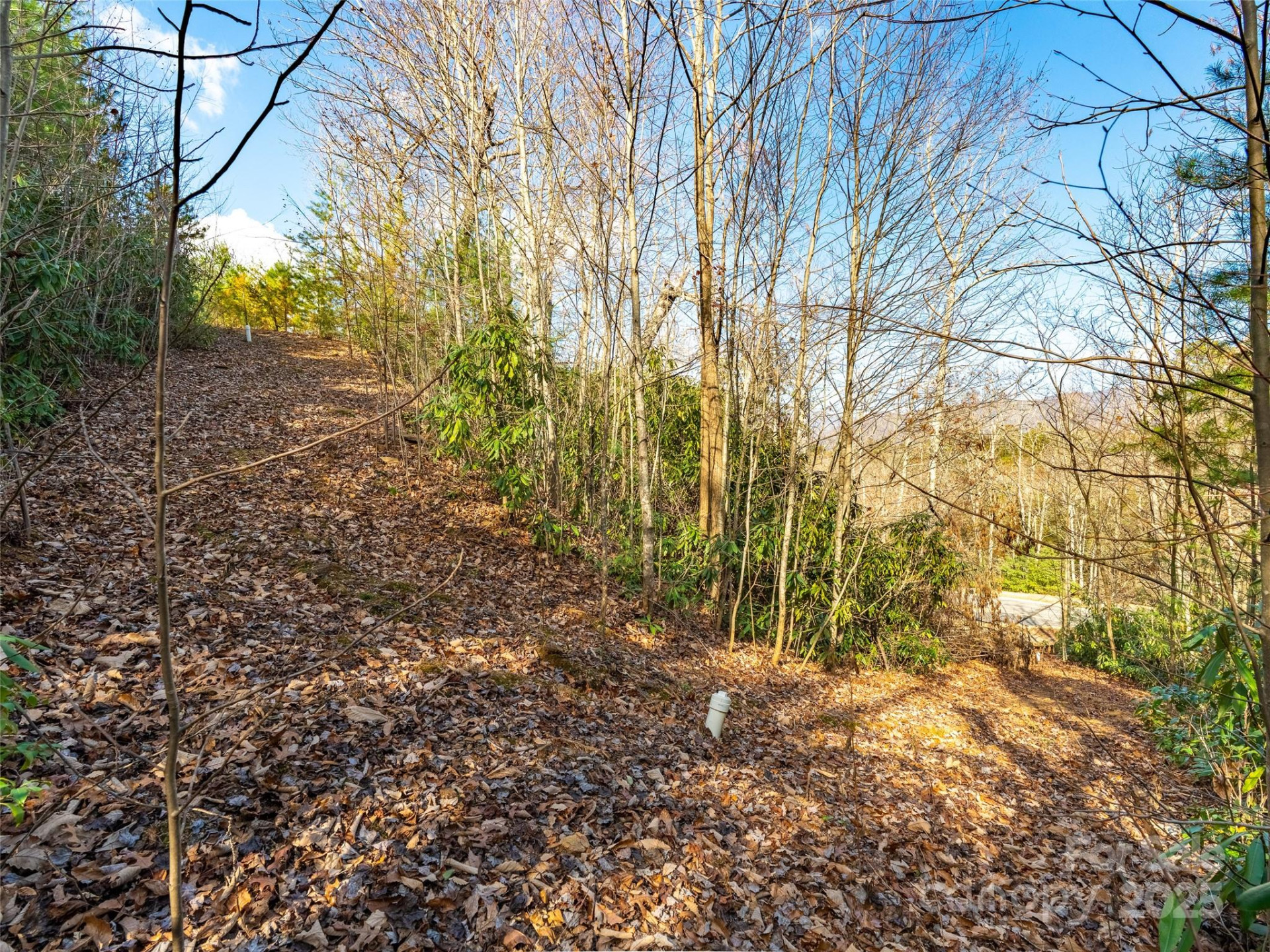 9 Settings Boulevard - Photo 16