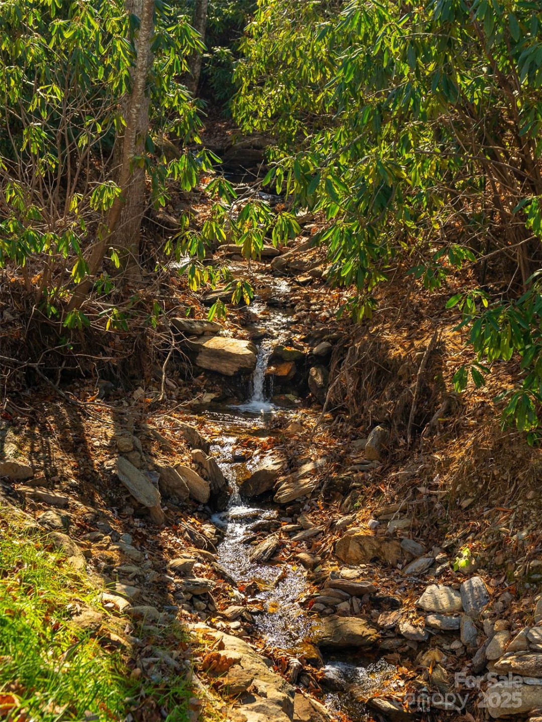 9 Settings Boulevard - Photo 21