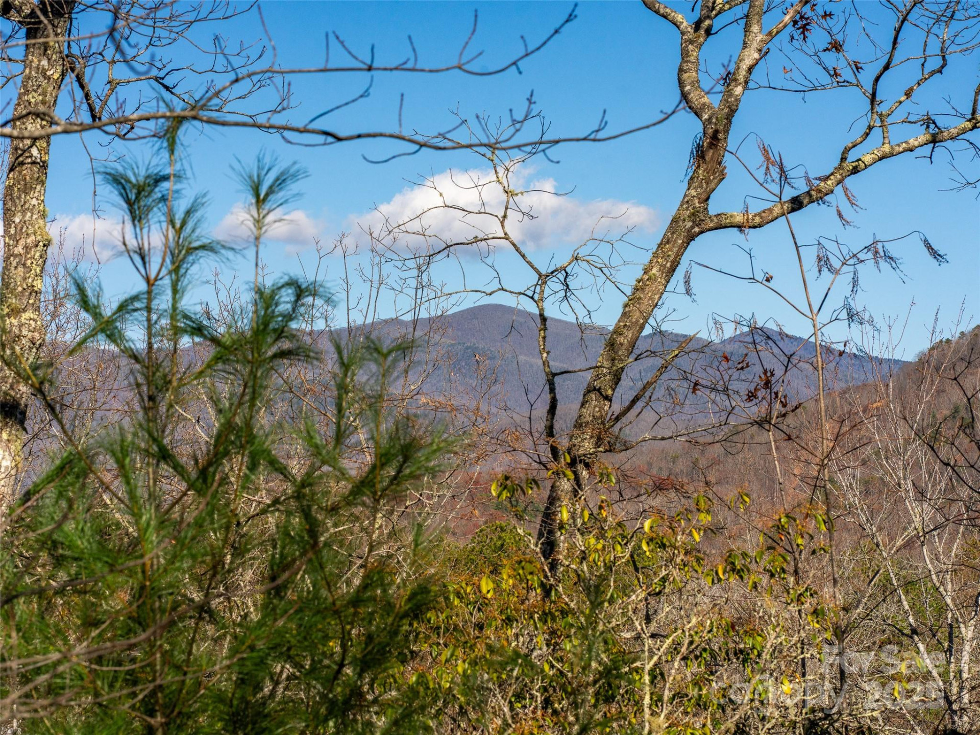 9 Settings Boulevard - Photo 5