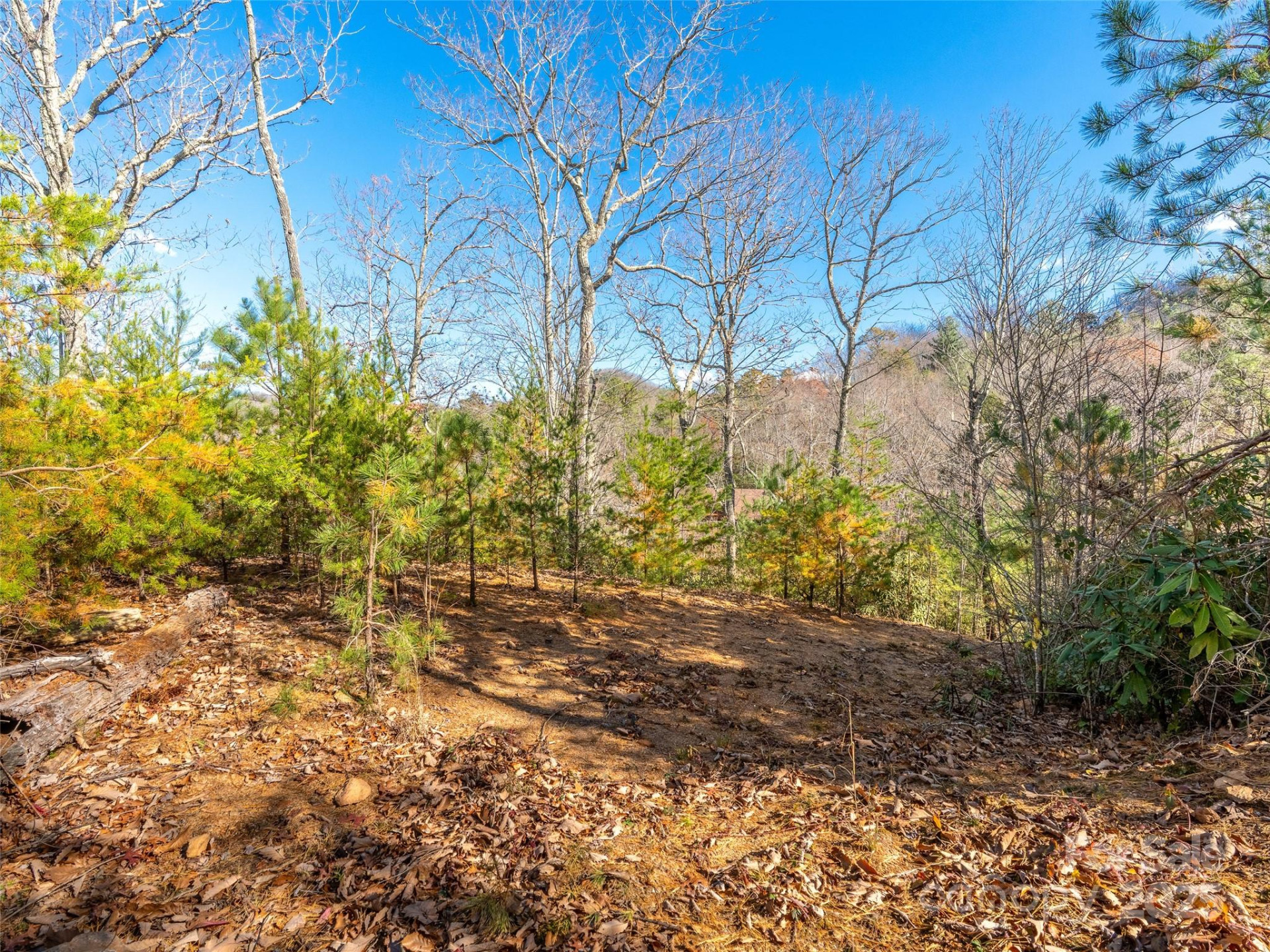 9 Settings Boulevard - Photo 7