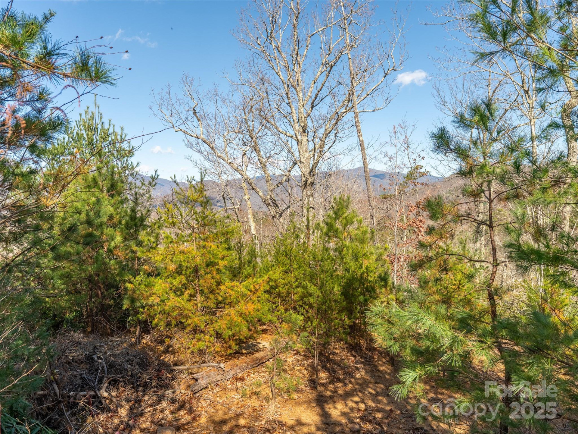 9 Settings Boulevard - Photo 8