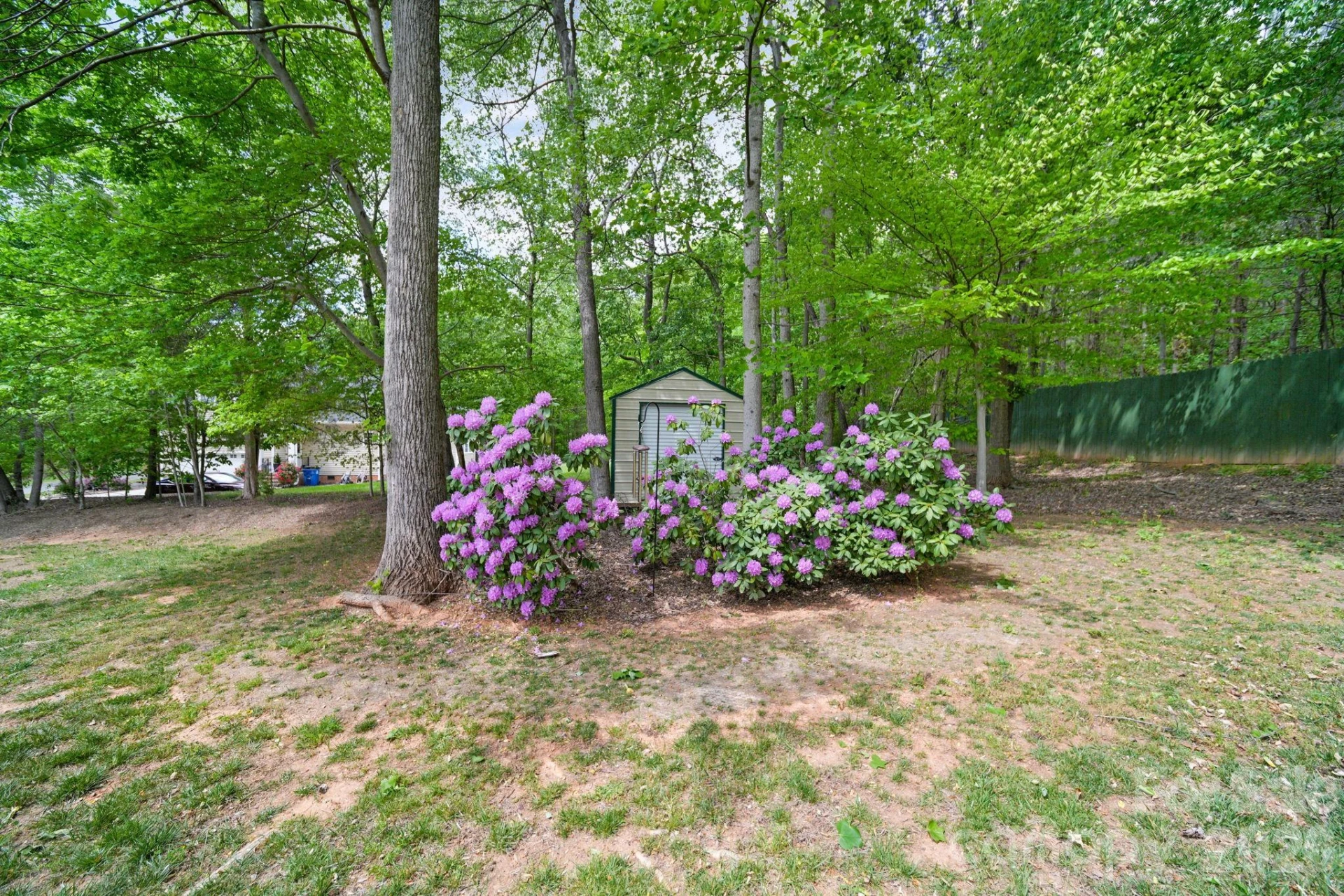 169 Winding Creek Drive - Photo 39
