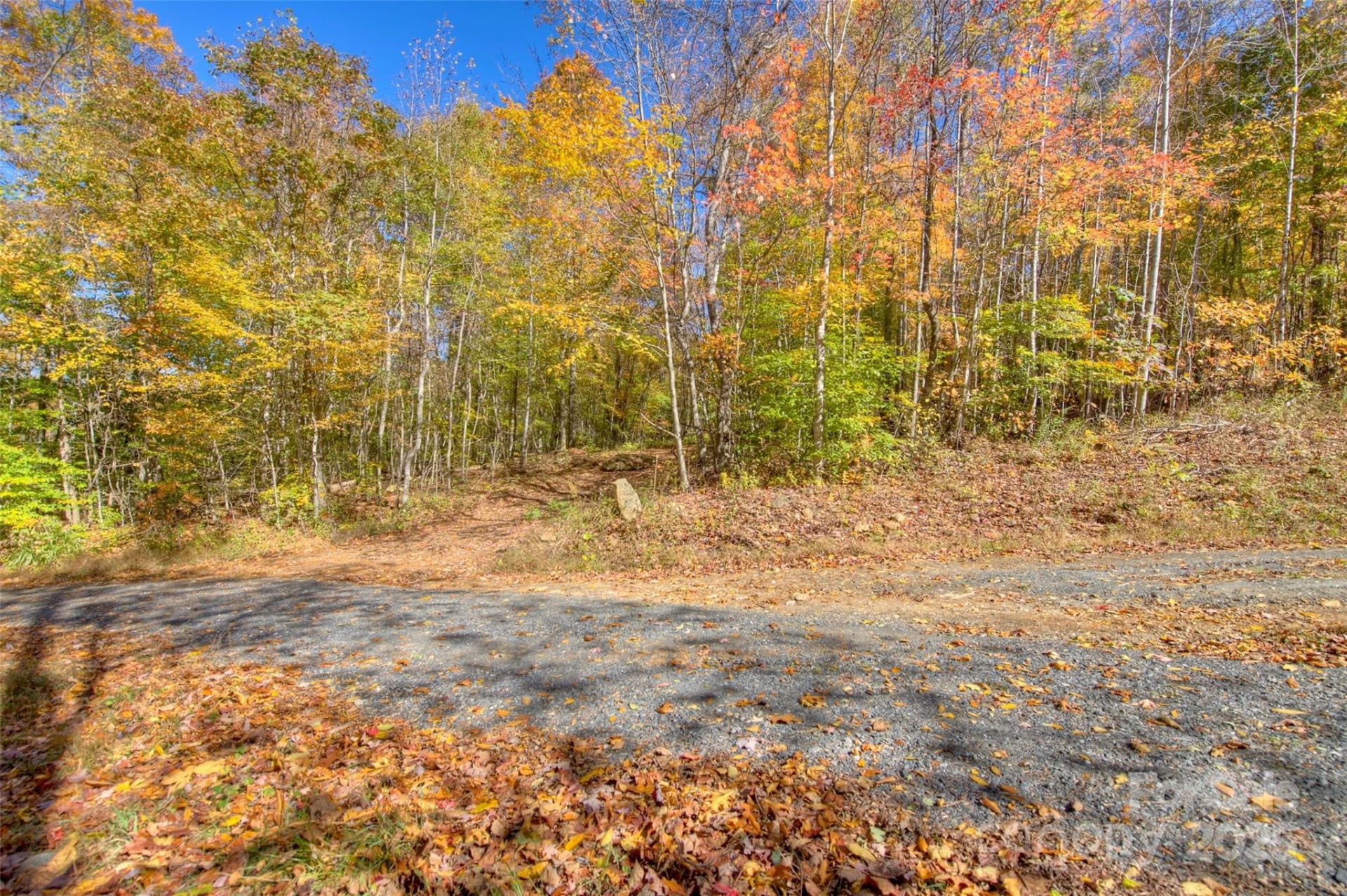 0 Pebble Ridge Road - Photo 11