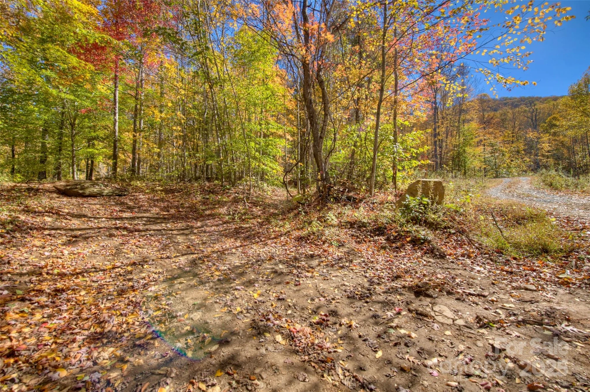 0 Pebble Ridge Road - Photo 14