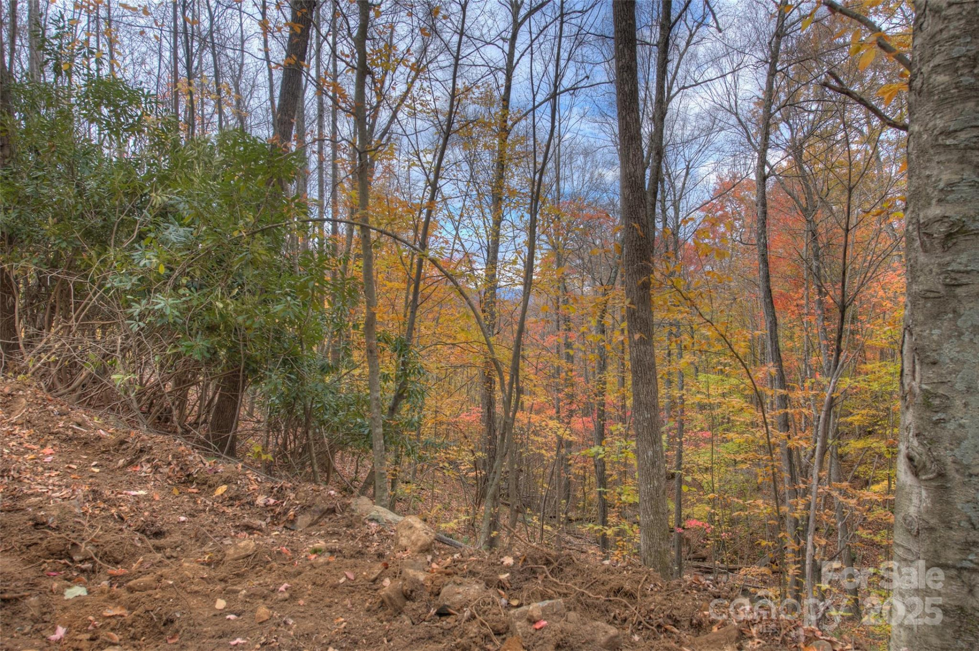 0 Pebble Ridge Road - Photo 17