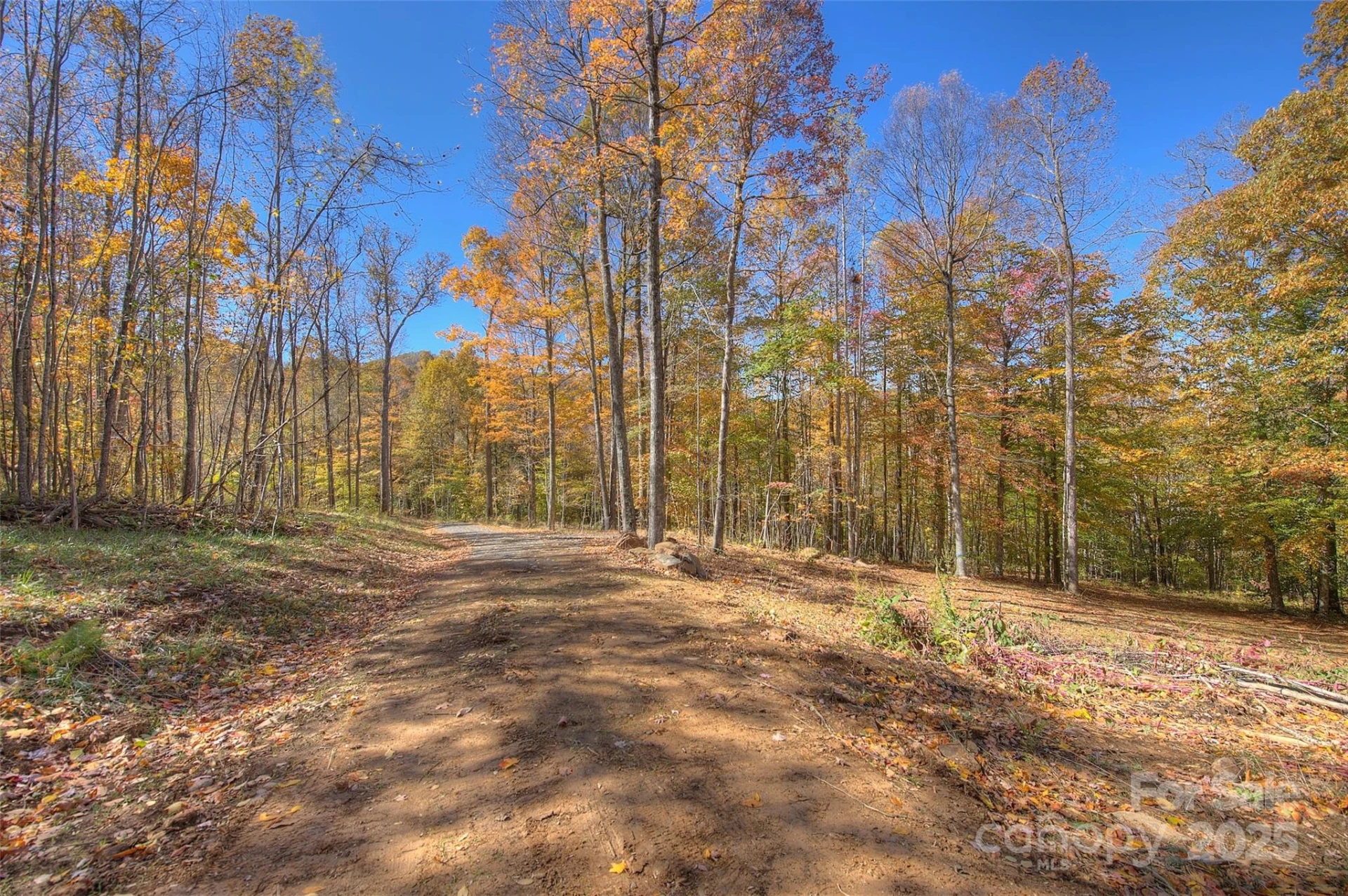 0 Pebble Ridge Road - Photo 3