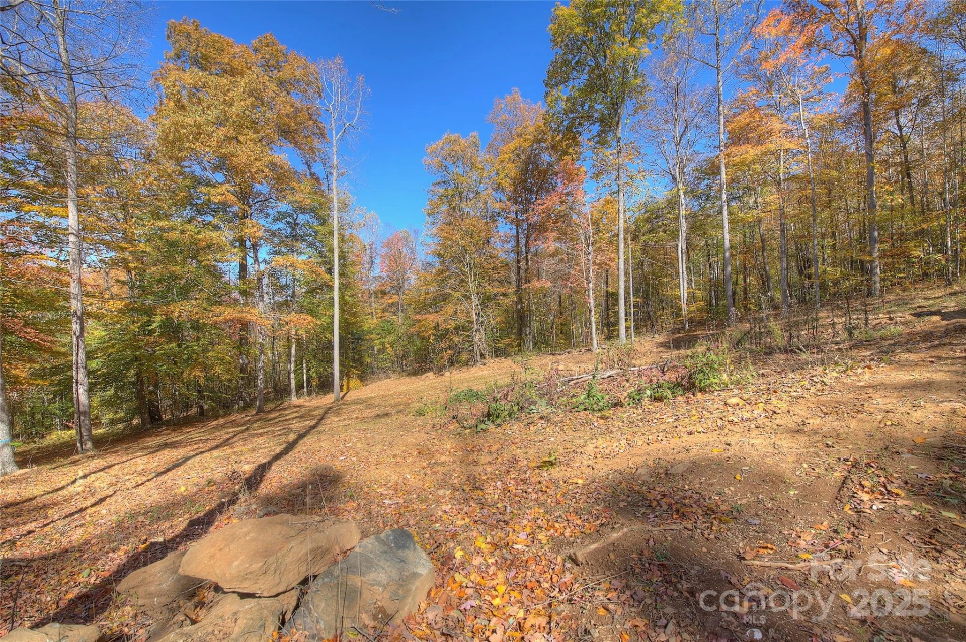 0 Pebble Ridge Road - Photo 4