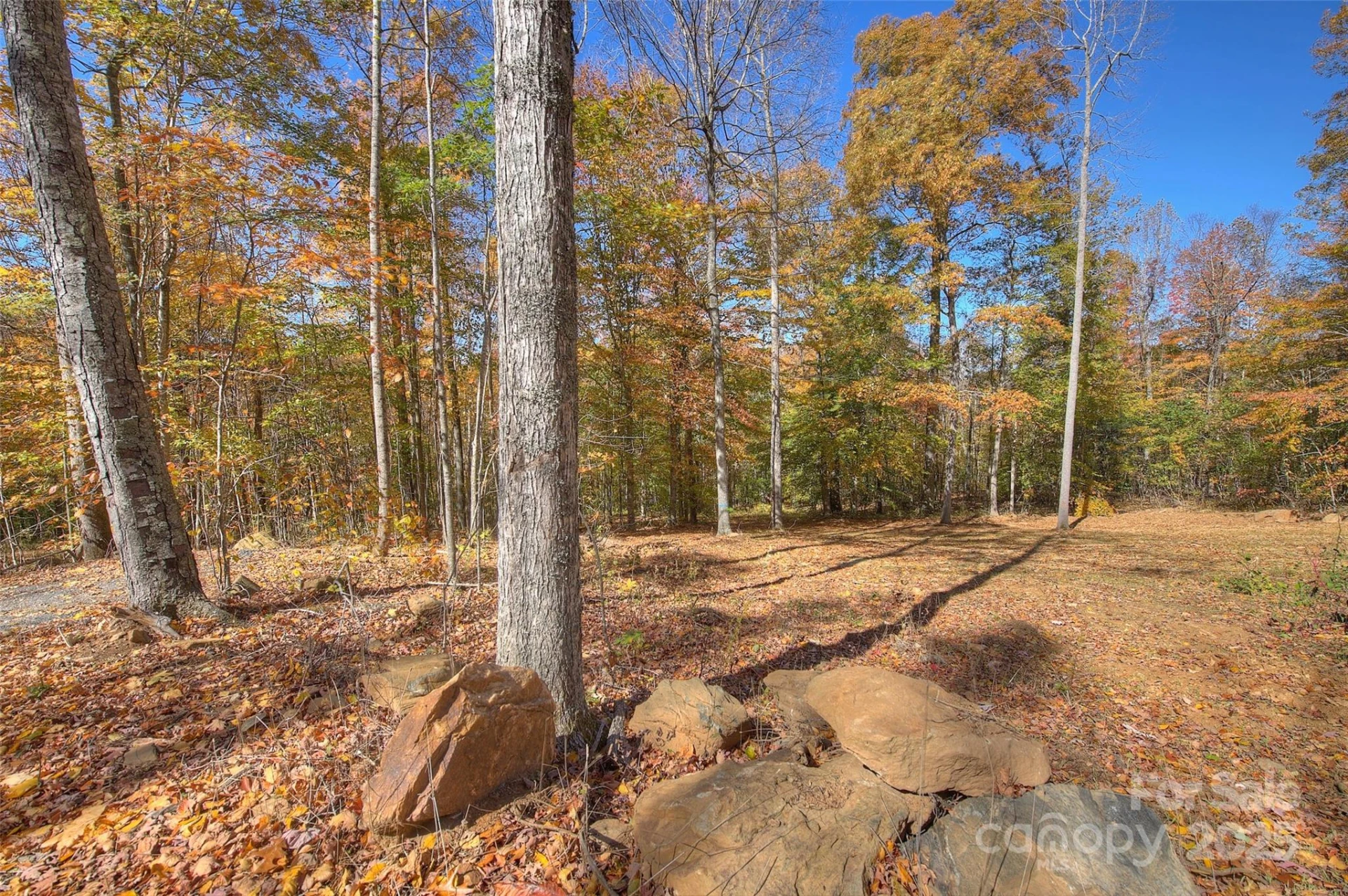 0 Pebble Ridge Road - Photo 5