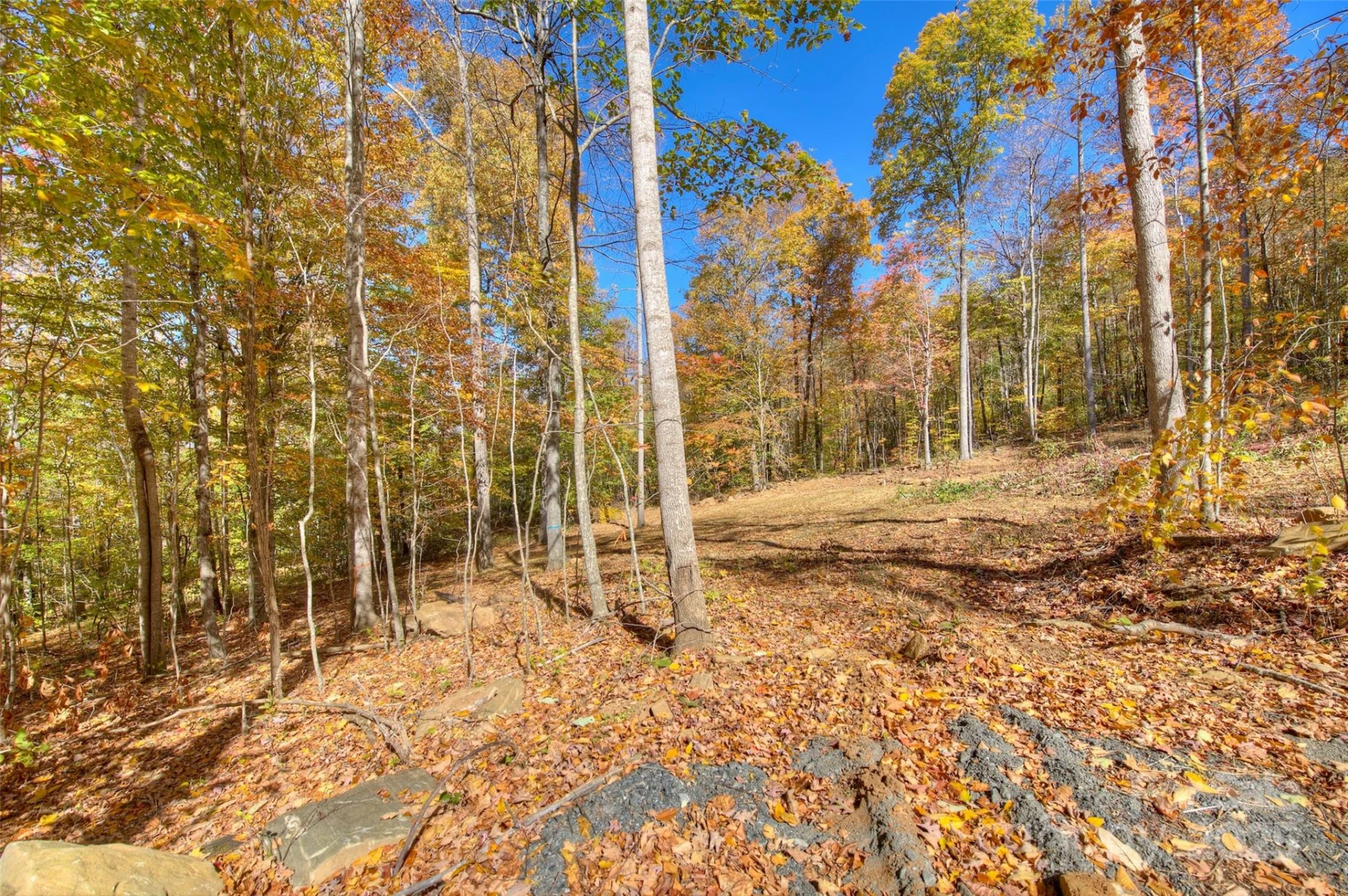 0 Pebble Ridge Road - Photo 7