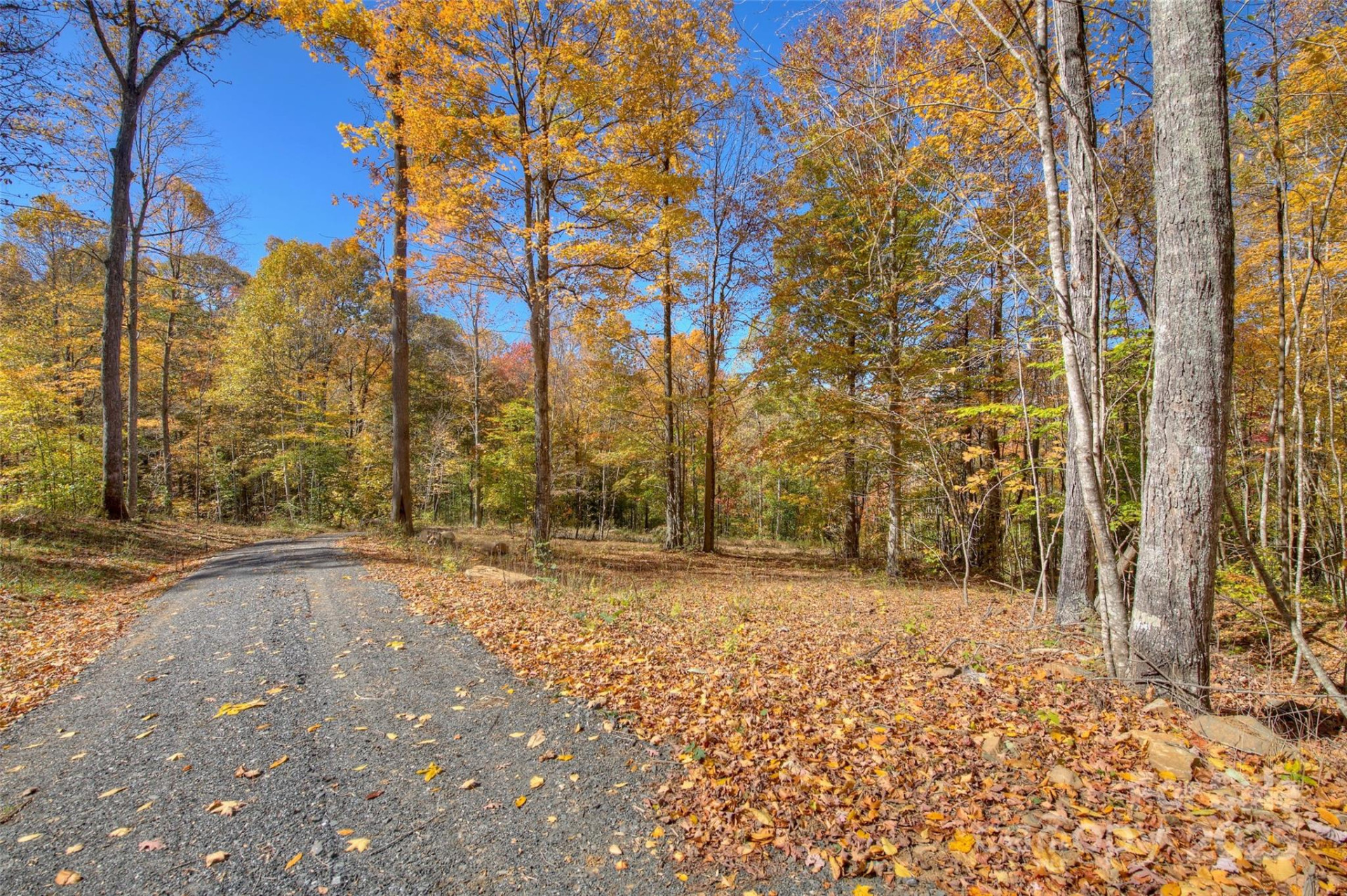 0 Pebble Ridge Road - Photo 8