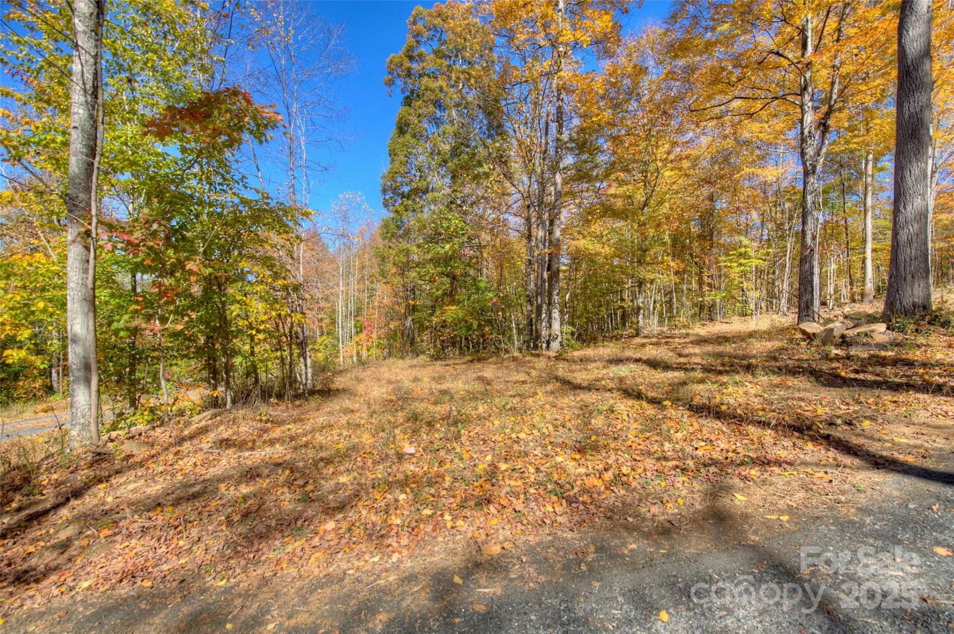 0 Pebble Ridge Road - Photo 9