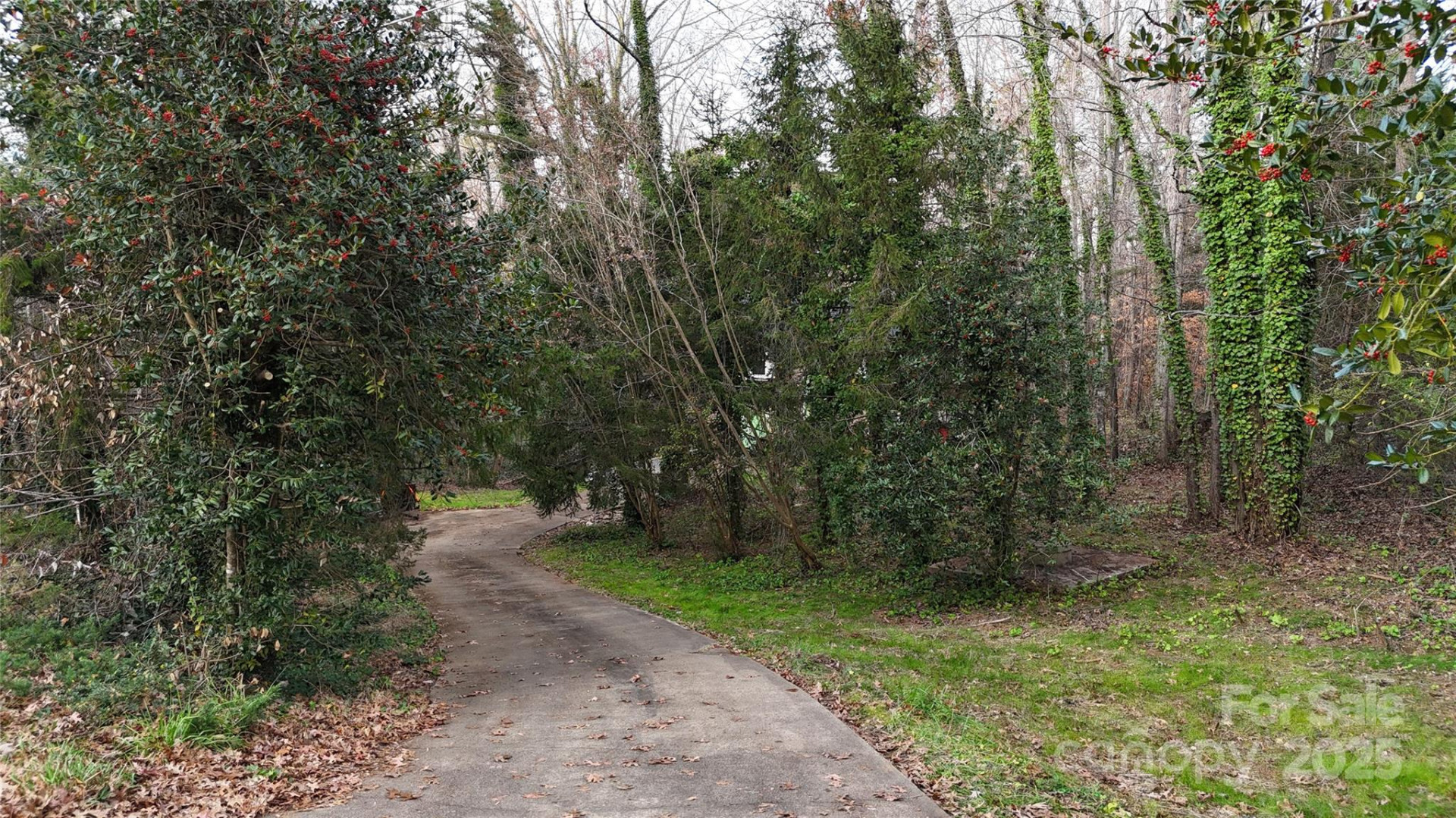 288 Nix Creek Church Road - Photo 8