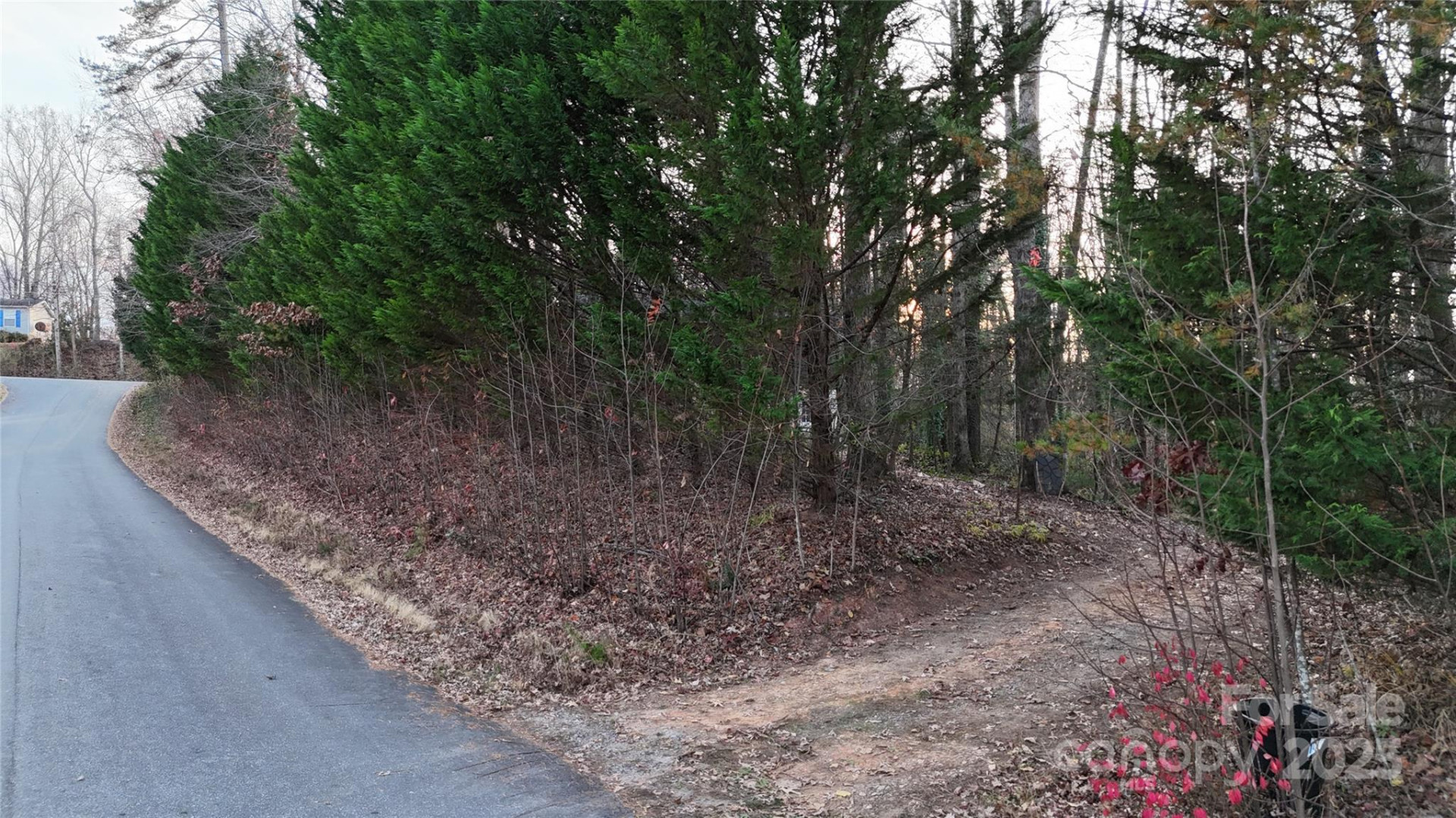 288 Nix Creek Church Road - Photo 10