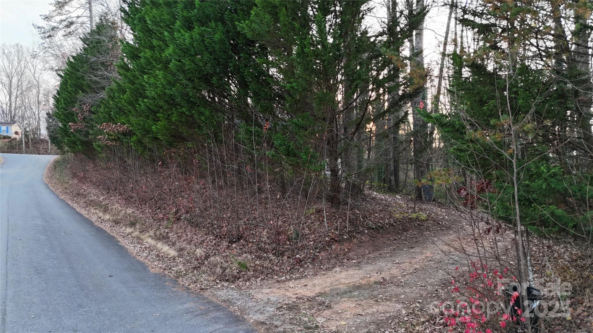 288 Nix Creek Church Road - Photo 10
