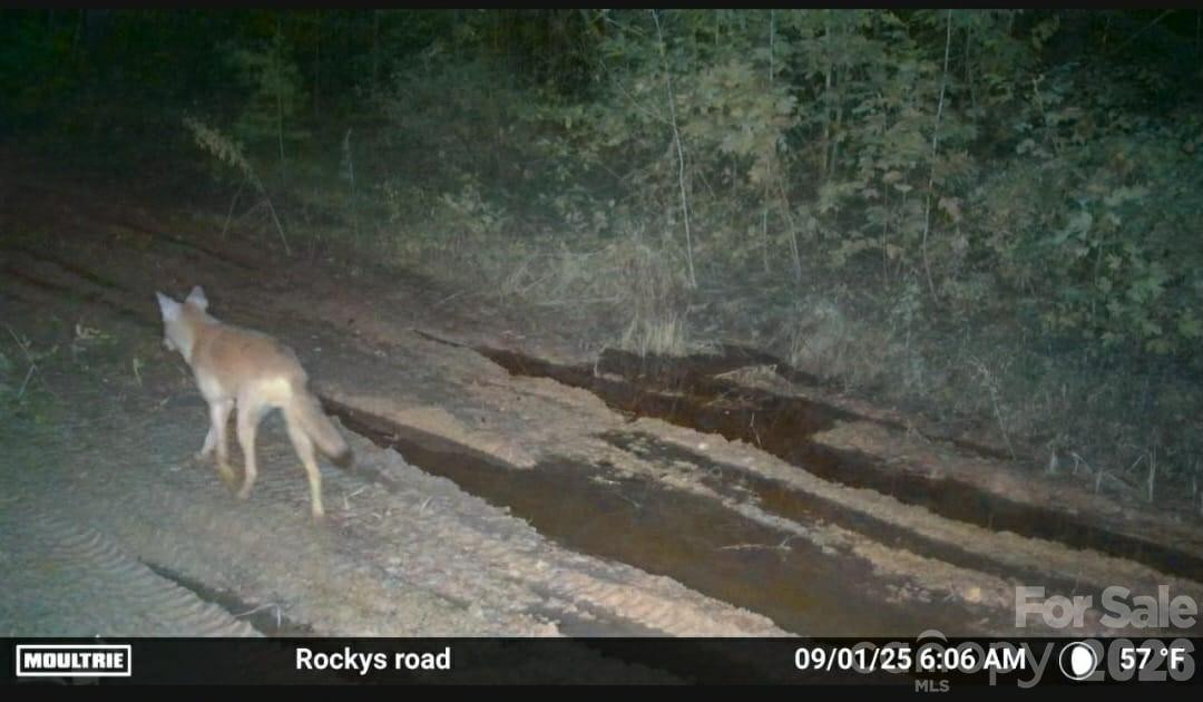 4204 Bennett Road - Photo 11