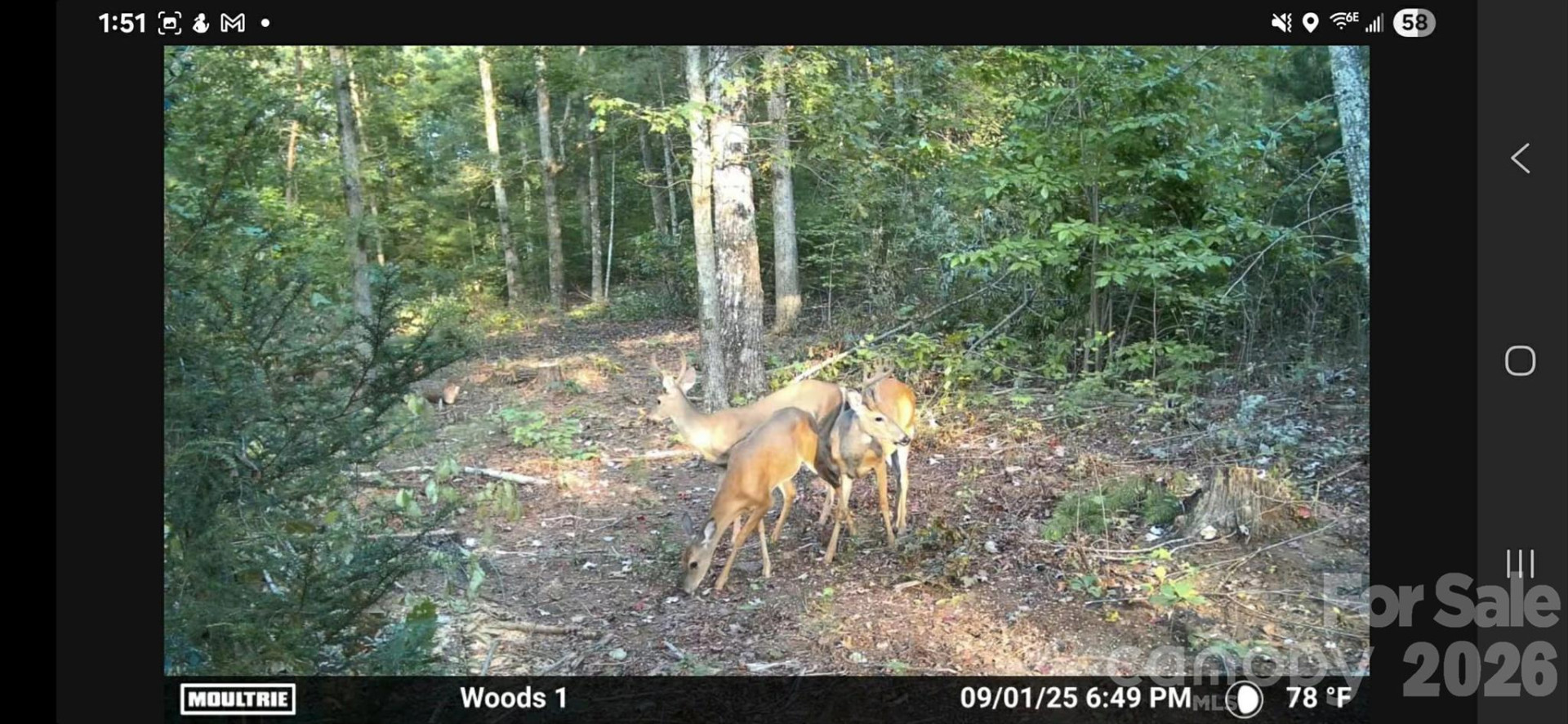 4204 Bennett Road - Photo 13