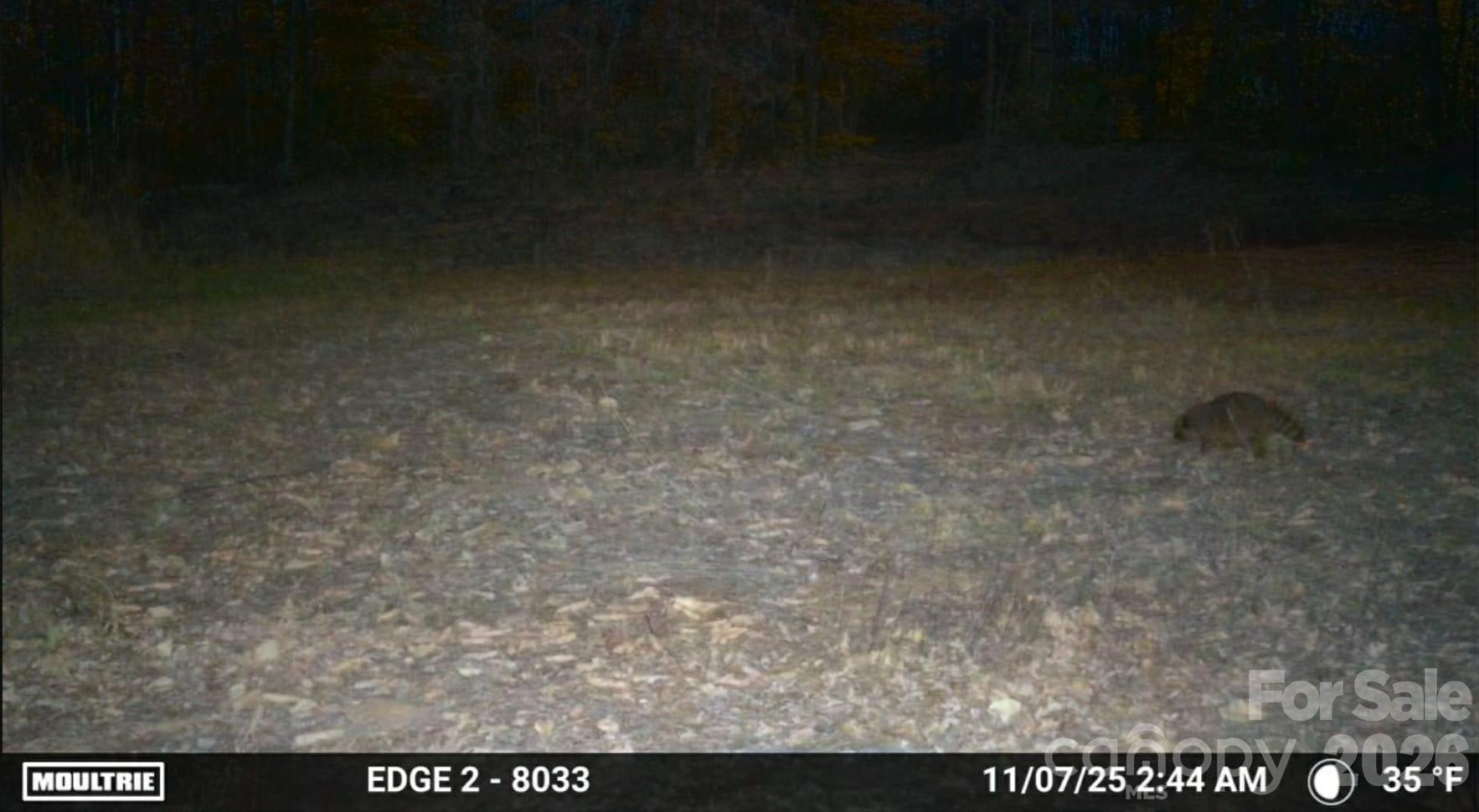 4204 Bennett Road - Photo 14