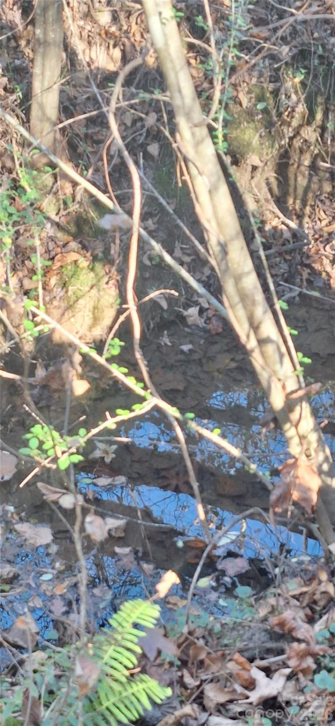 4204 Bennett Road - Photo 3