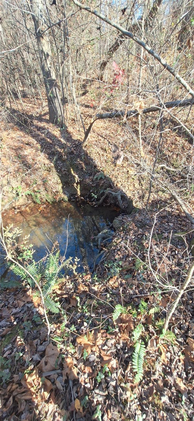 4204 Bennett Road - Photo 4