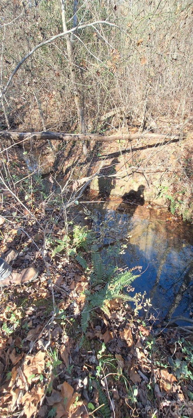 4204 Bennett Road - Photo 5