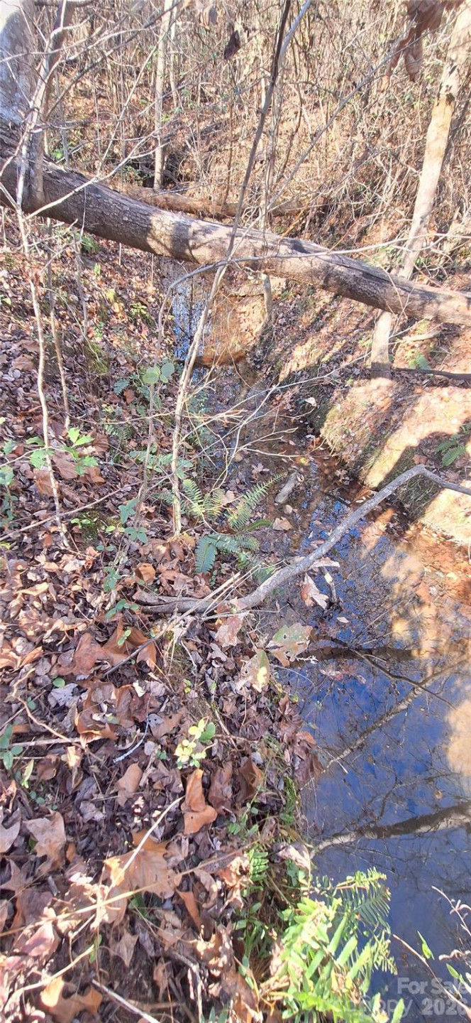 4204 Bennett Road - Photo 6