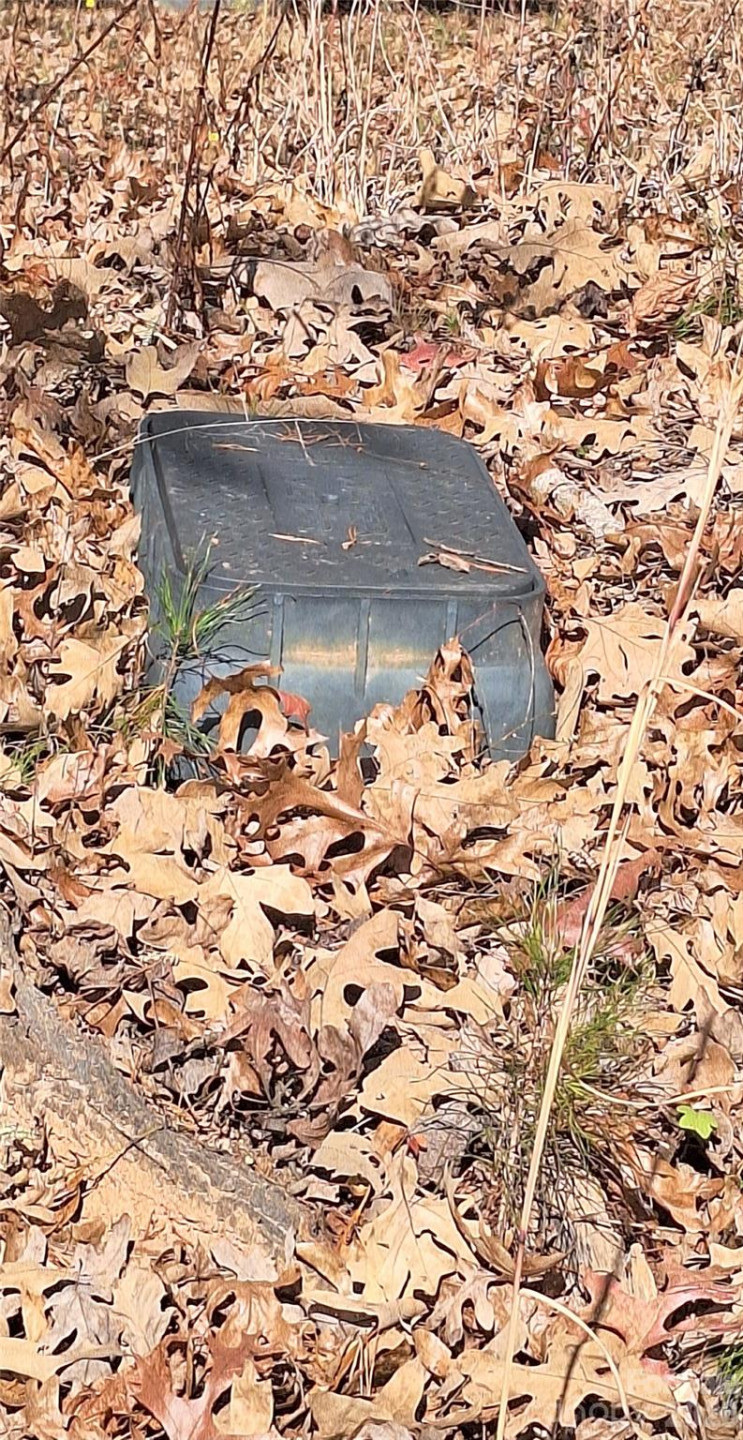 4204 Bennett Road - Photo 8