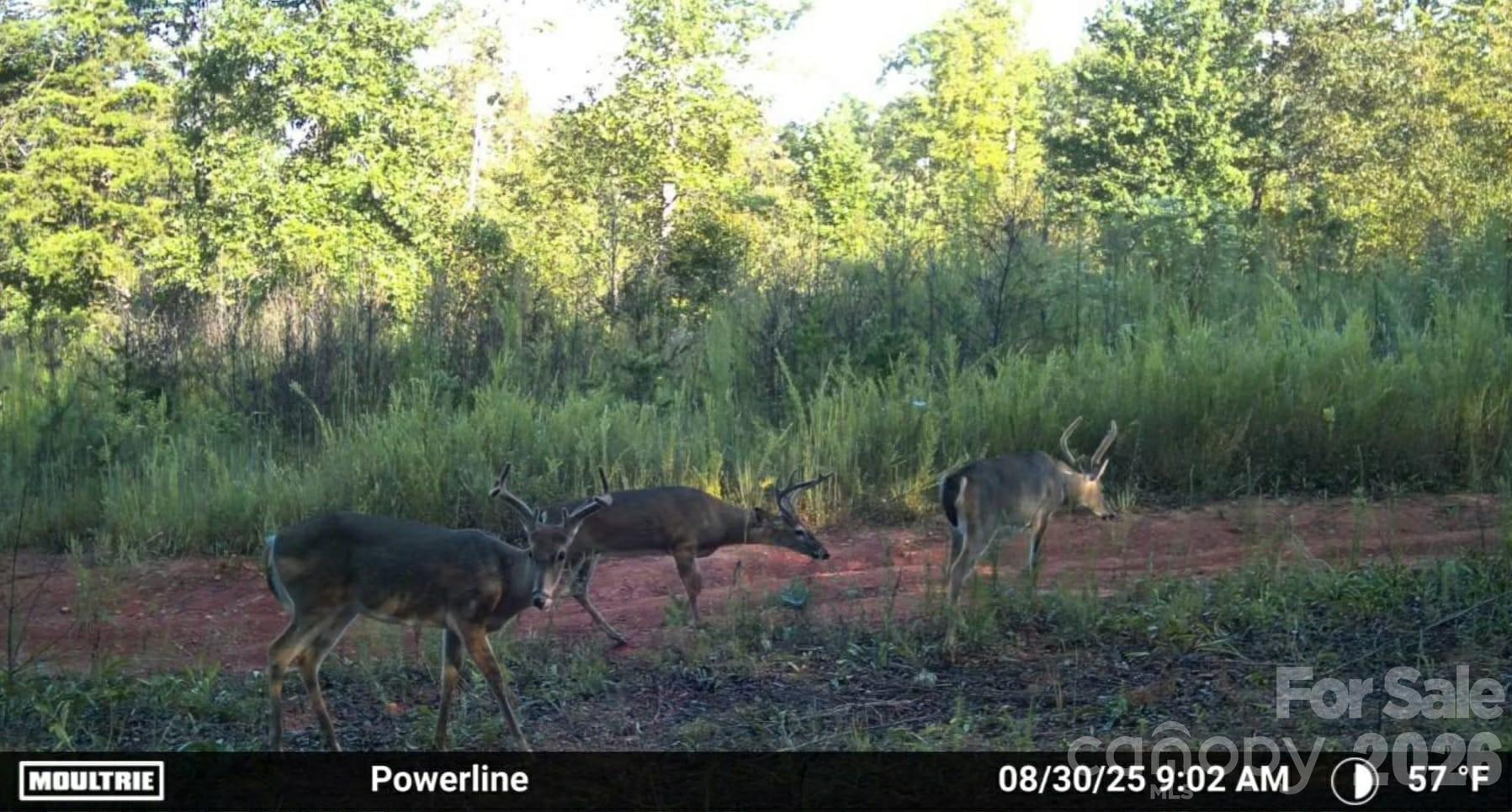 4204 Bennett Road - Photo 9