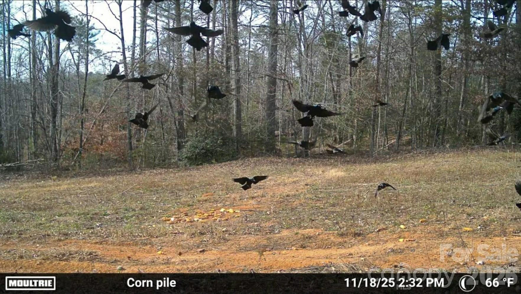 4204 Bennett Road - Photo 10