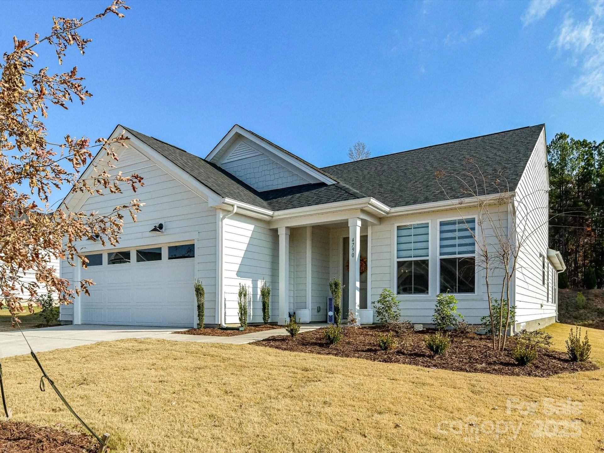 4790 Formation Court - Photo 2