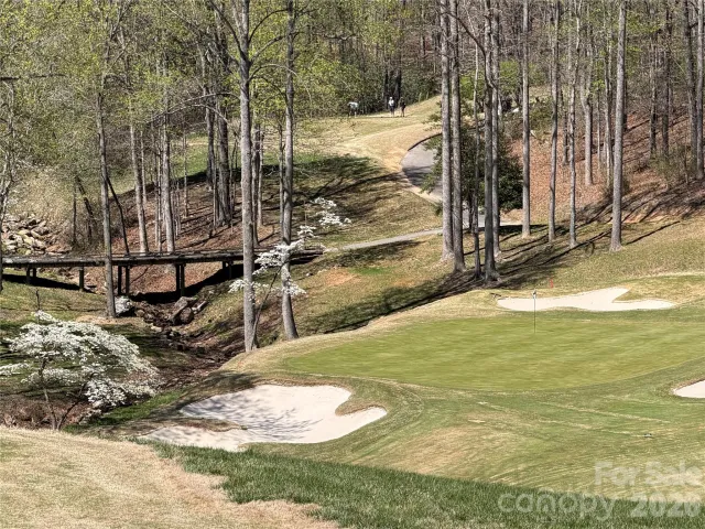90 Chestertown Drive, Mill Spring, NC, 28756
