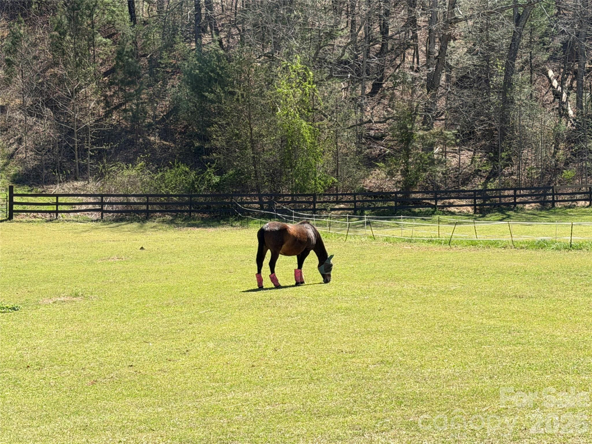 90 Chestertown Drive #90 - Photo 15