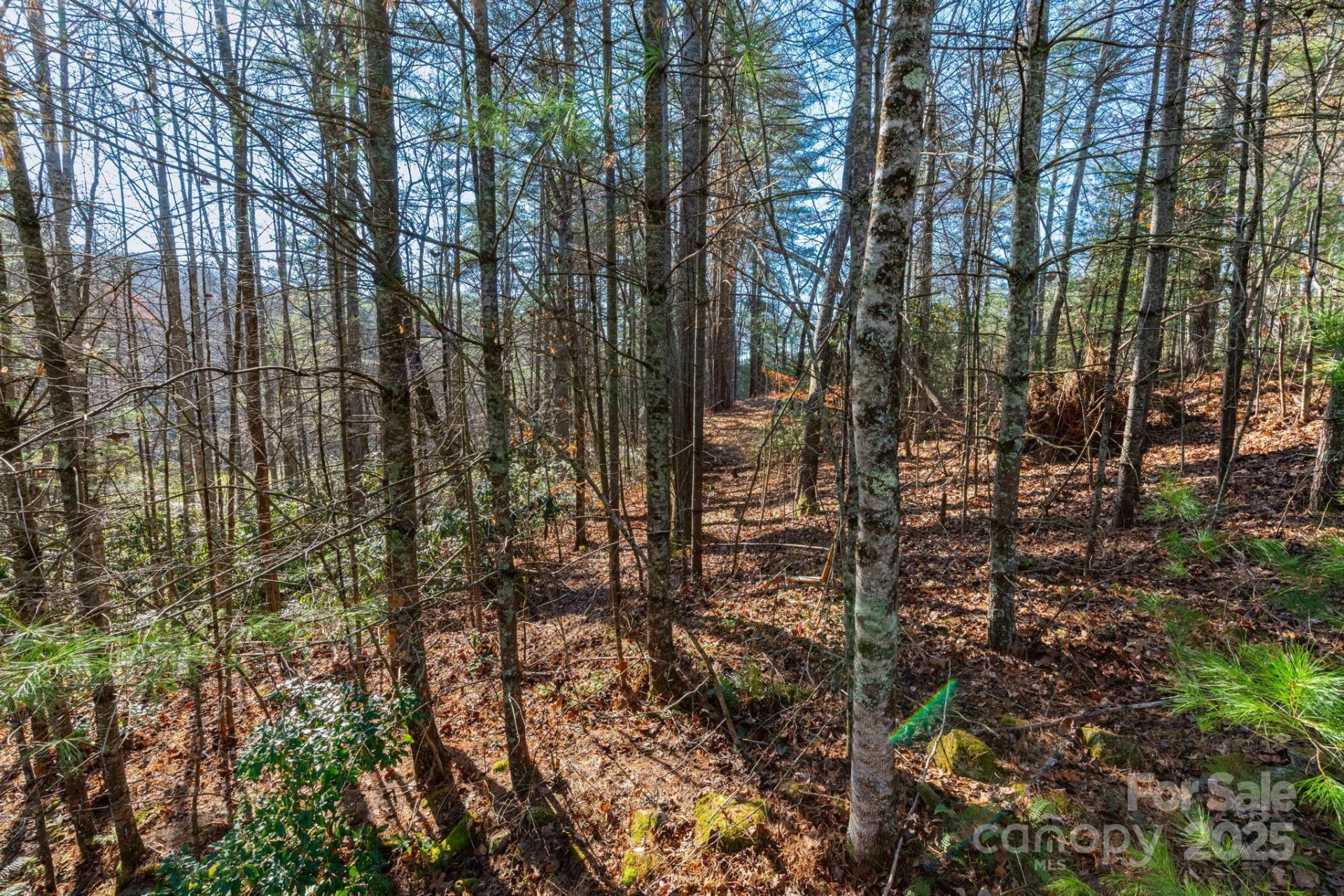 139 Chattooga Run #221 - Photo 4