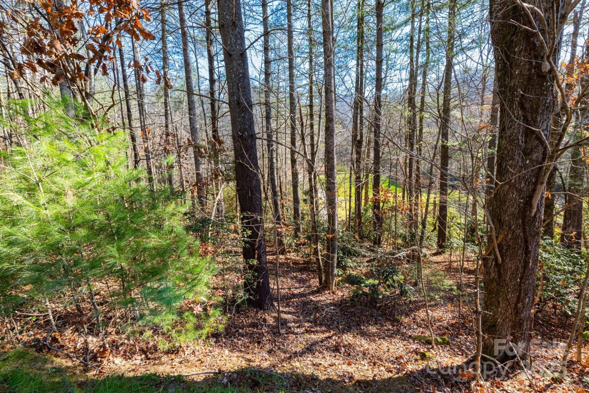 139 Chattooga Run #221 - Photo 5