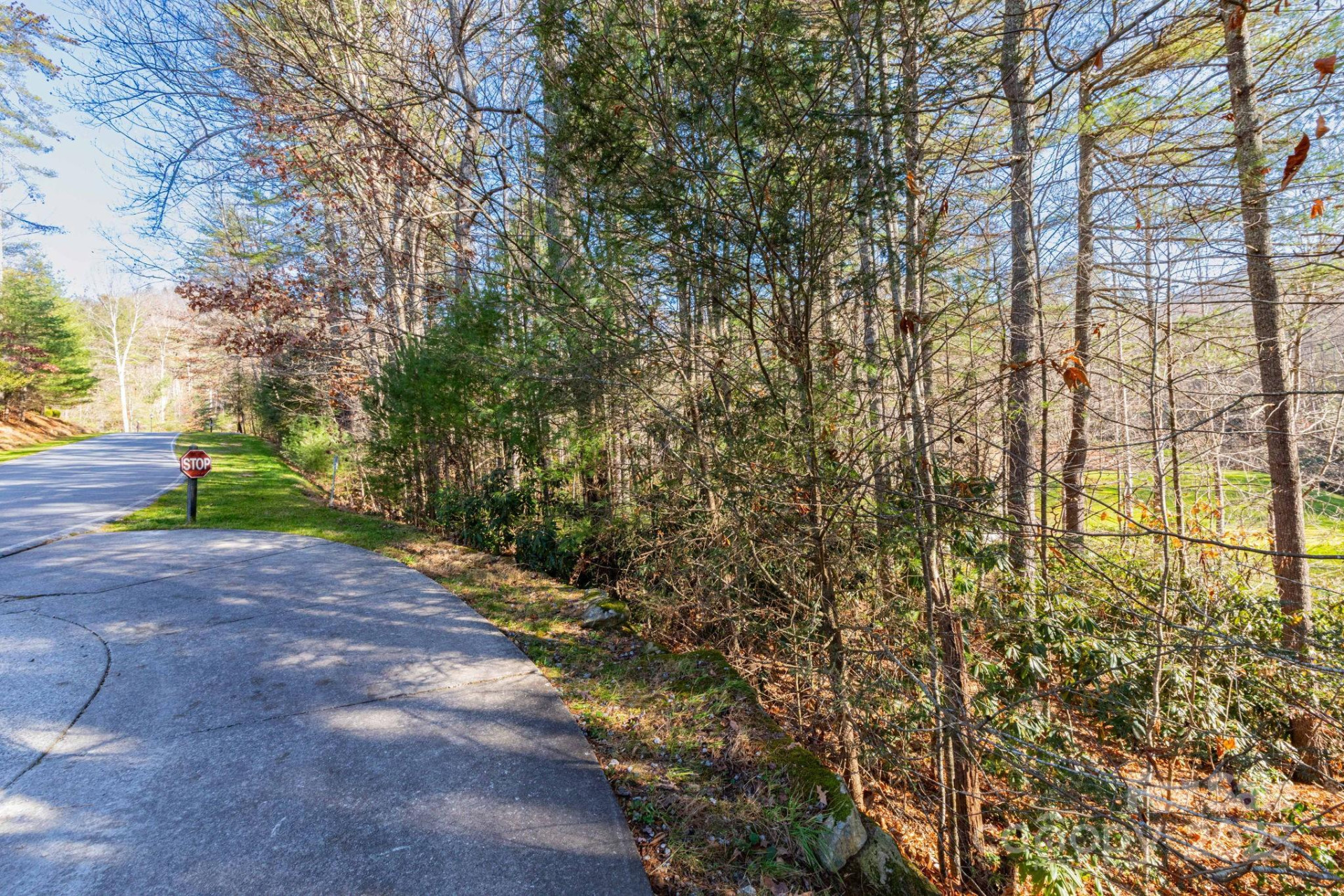 139 Chattooga Run #221 - Photo 7