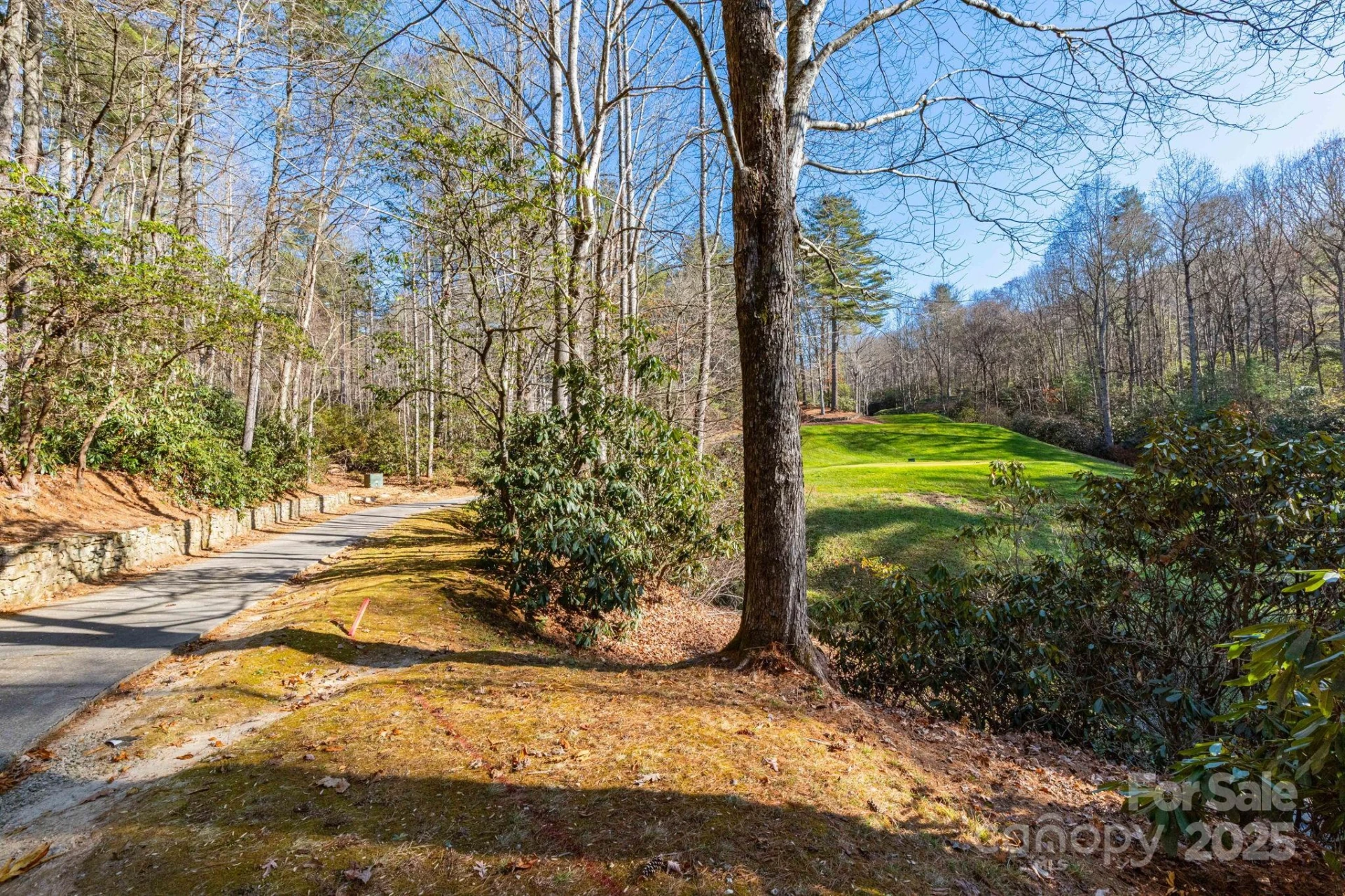 139 Chattooga Run #221 - Photo 10