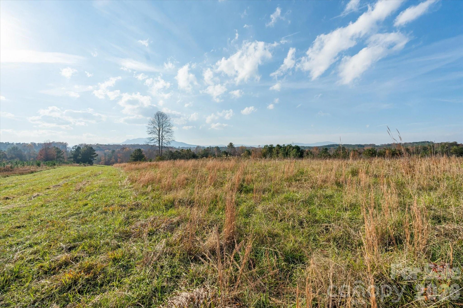 1888 Pea Ridge Road - Photo 13