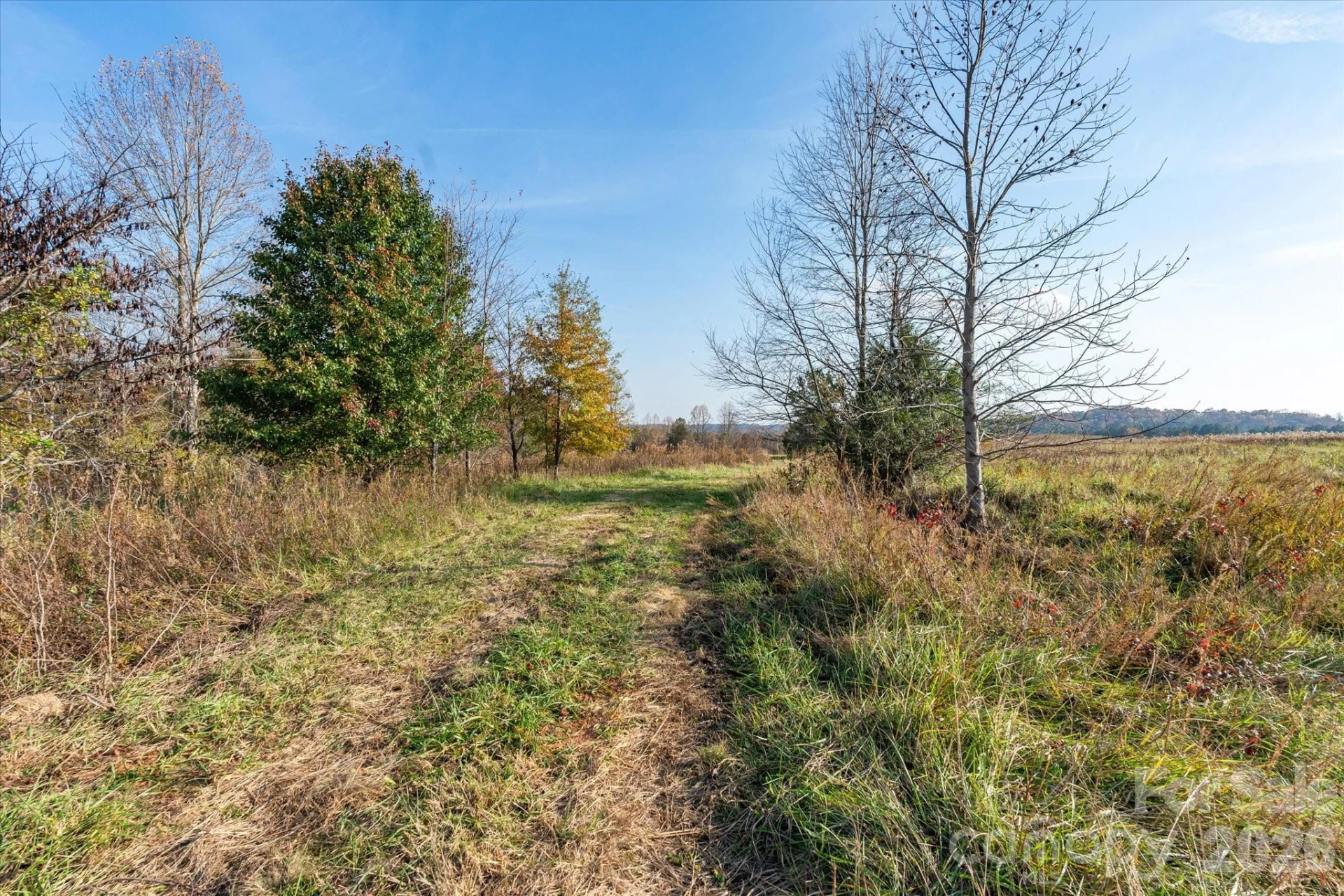 1888 Pea Ridge Road - Photo 15