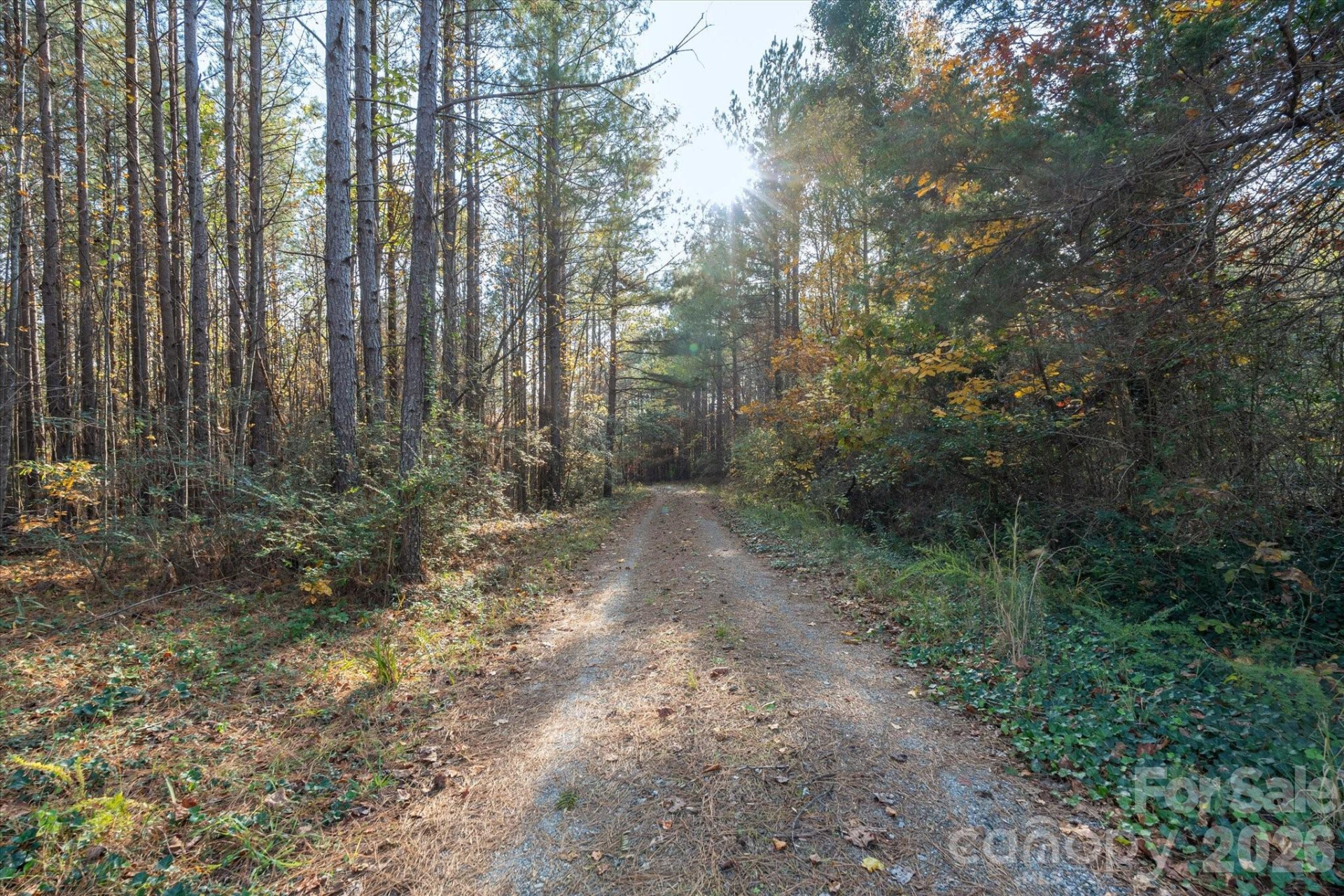 1888 Pea Ridge Road - Photo 16