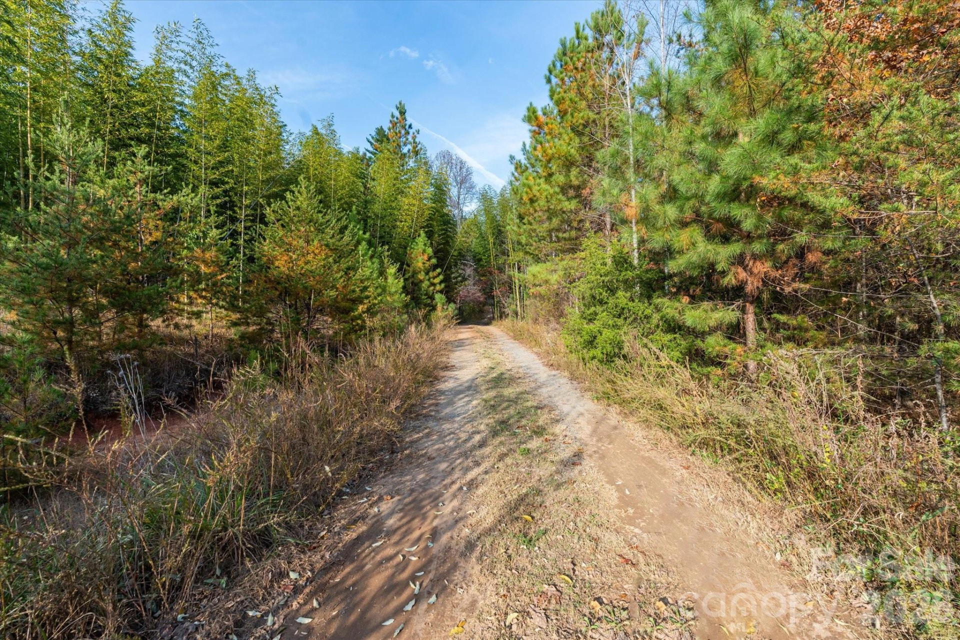 1888 Pea Ridge Road - Photo 17